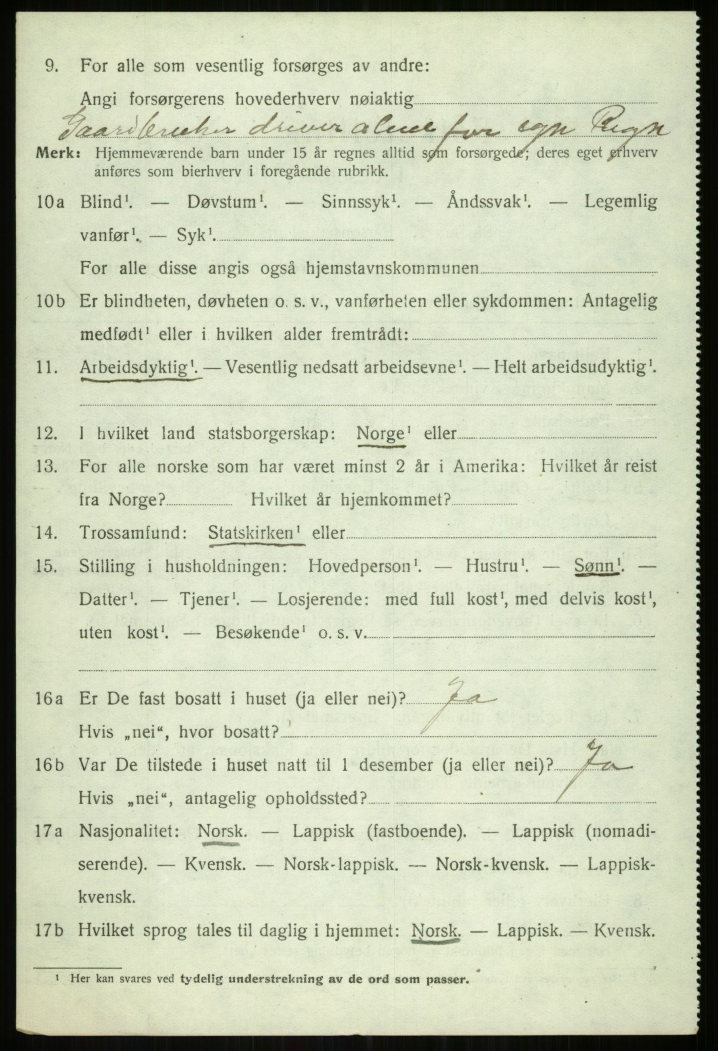 SATØ, 1920 census for Tromsøysund, 1920, p. 7247