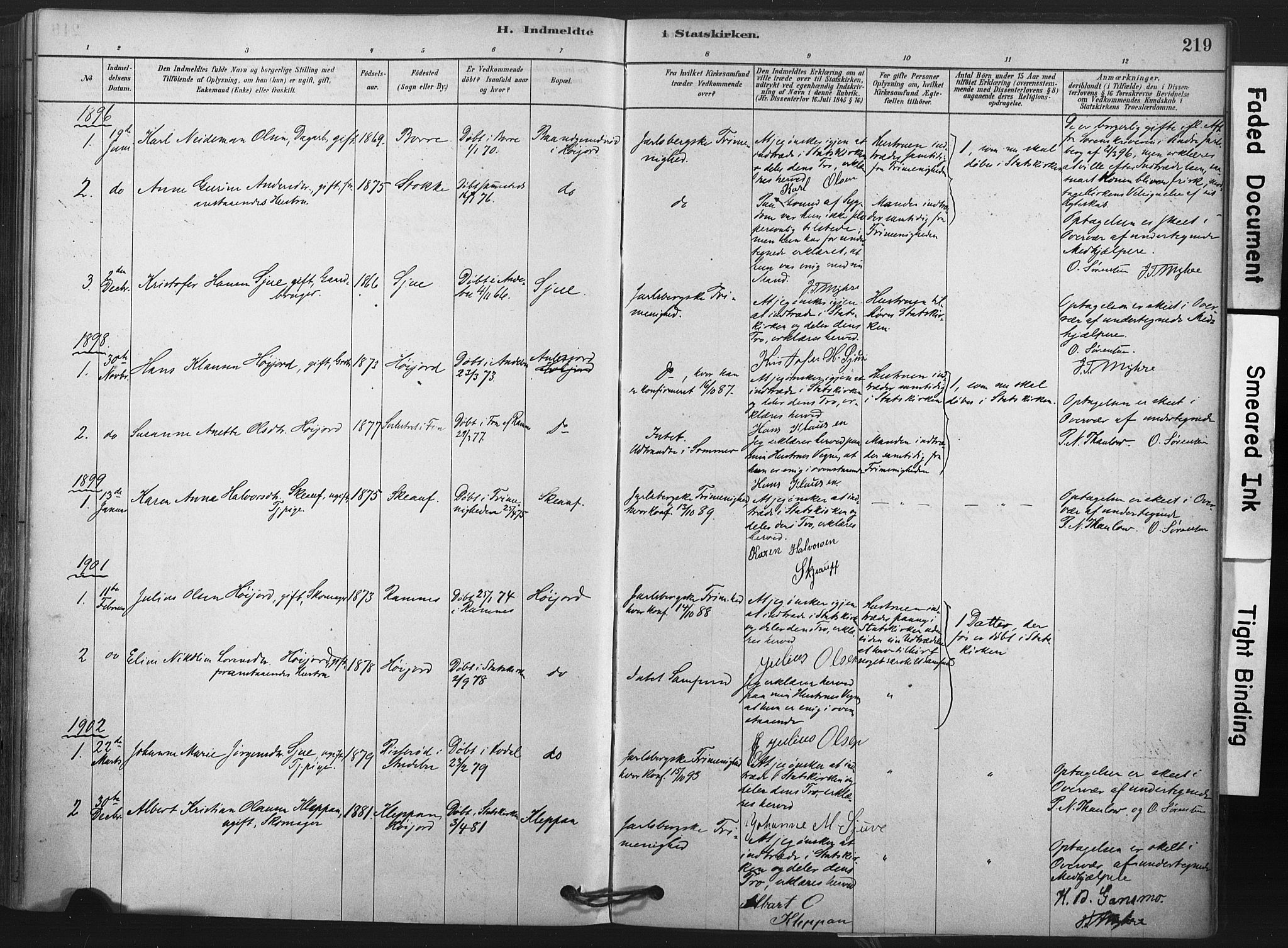 Andebu kirkebøker, AV/SAKO-A-336/F/Fa/L0009: Parish register (official) no. 9, 1878-1909, p. 219