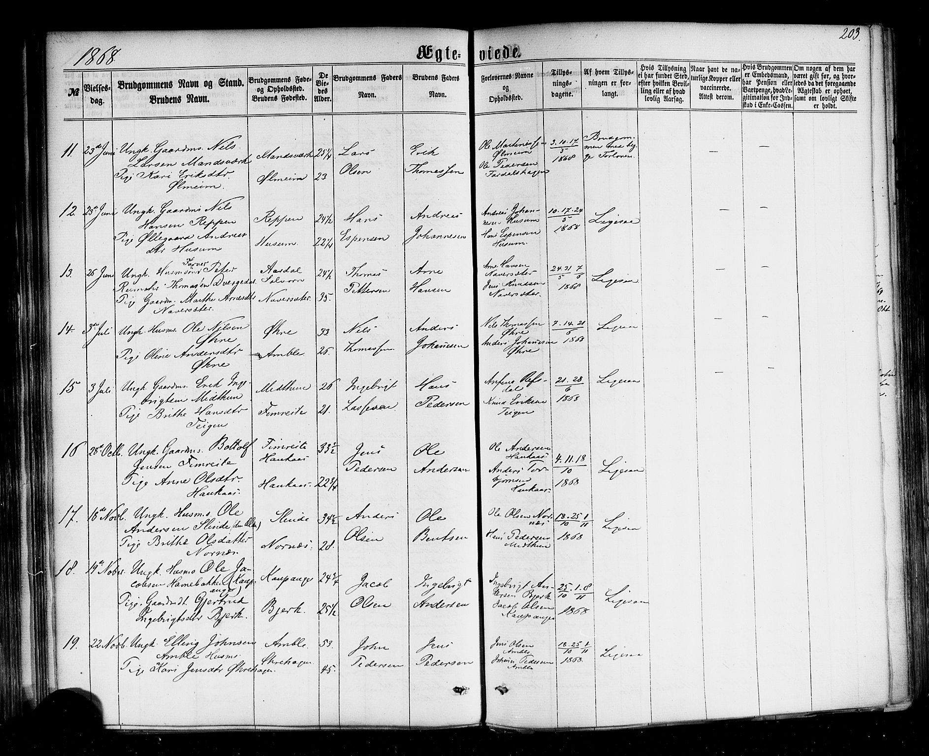 Sogndal sokneprestembete, AV/SAB-A-81301/H/Haa/Haaa/L0013: Parish register (official) no. A 13, 1859-1877, p. 203