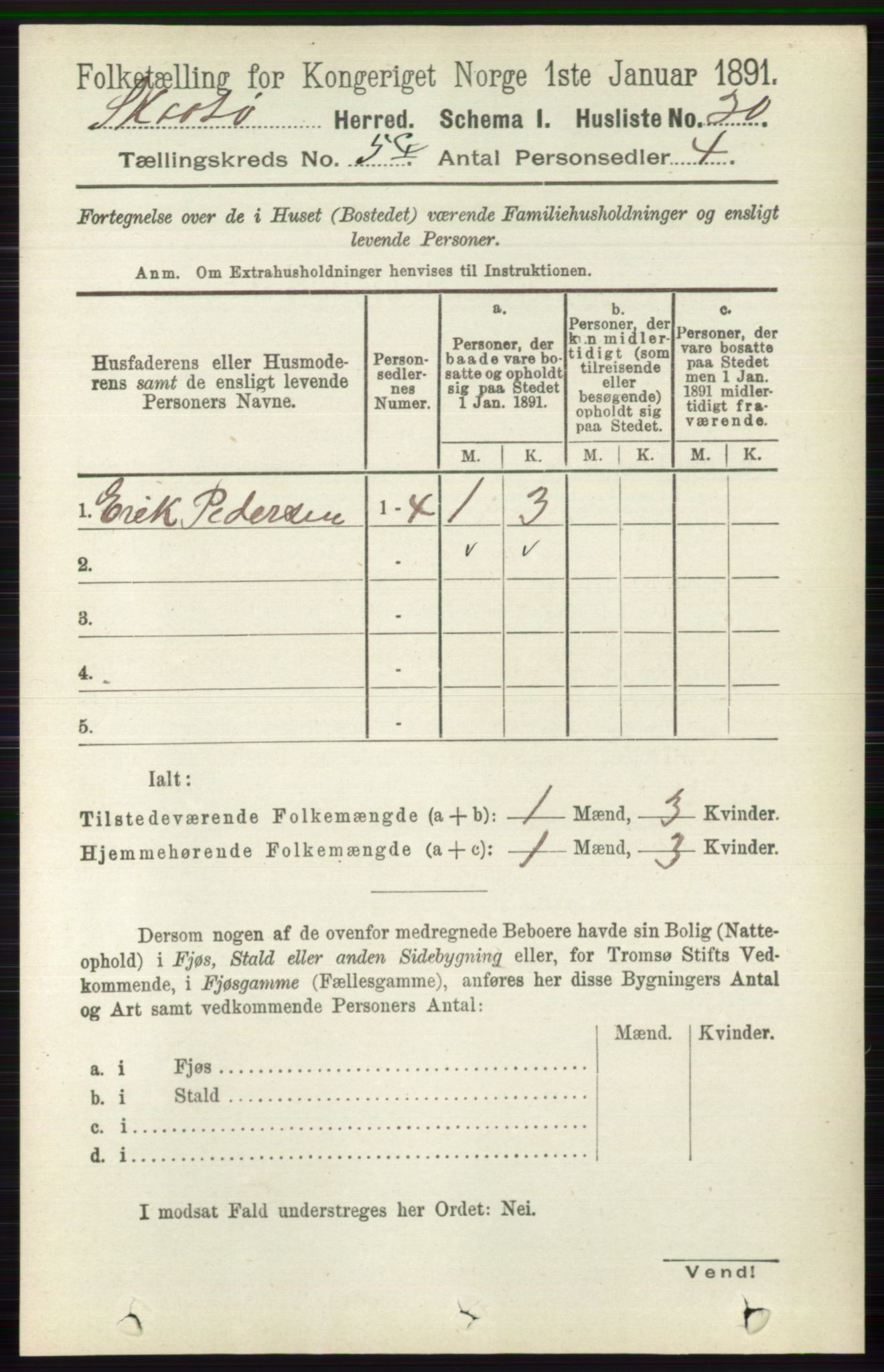 RA, 1891 census for 0815 Skåtøy, 1891, p. 2665