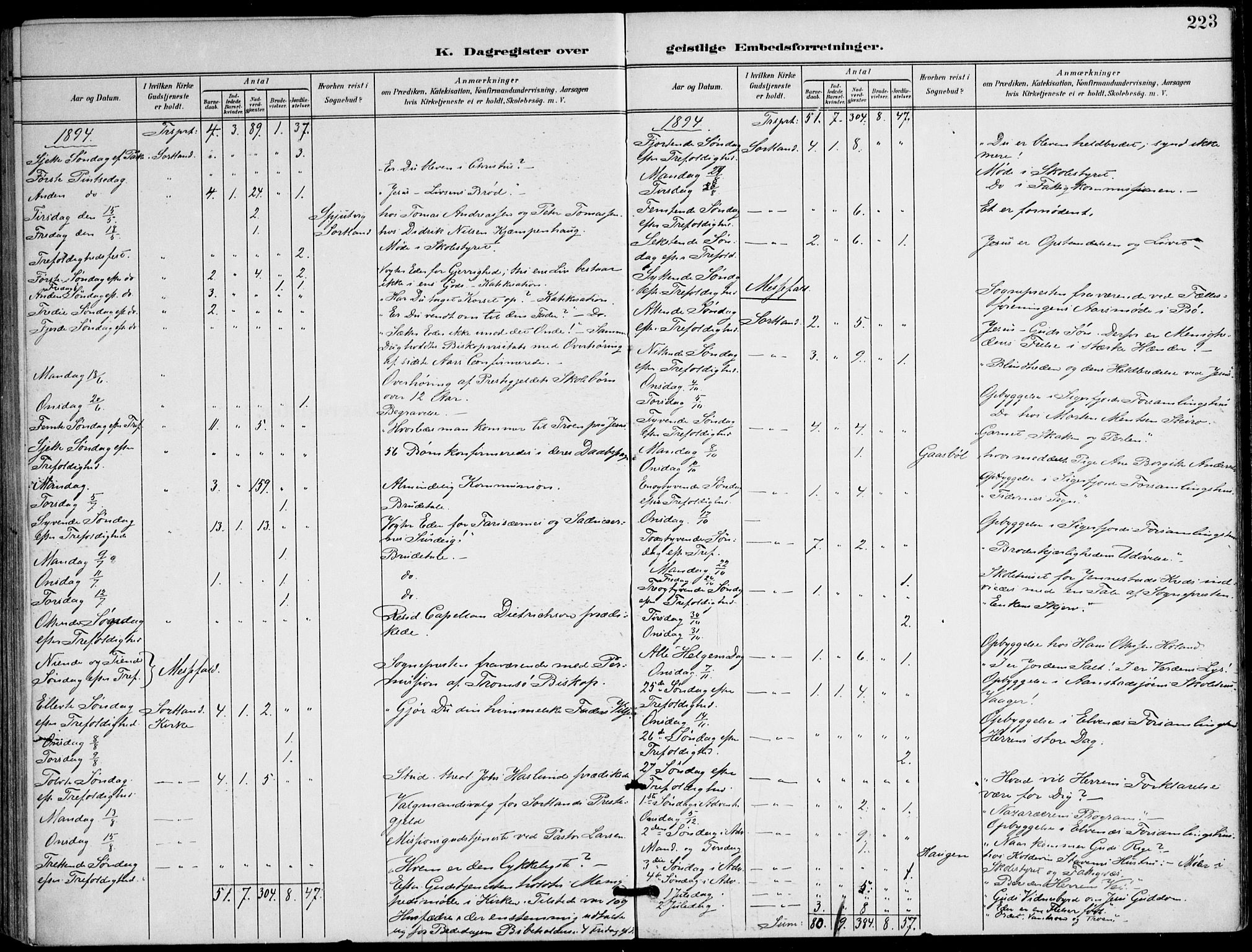 Ministerialprotokoller, klokkerbøker og fødselsregistre - Nordland, AV/SAT-A-1459/895/L1372: Parish register (official) no. 895A07, 1894-1914, p. 223