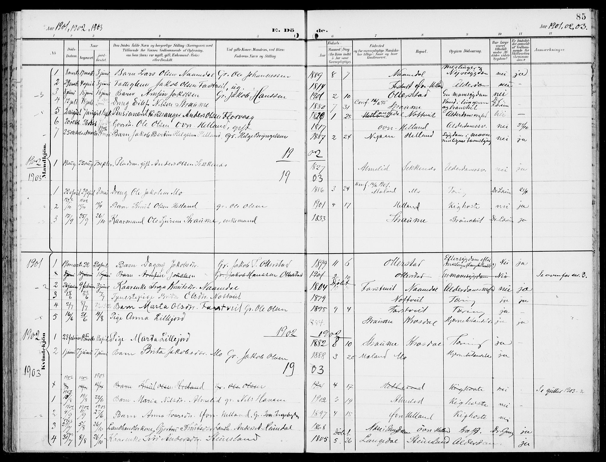 Hosanger sokneprestembete, SAB/A-75801/H/Haa: Parish register (official) no. C  2, 1901-1925, p. 85