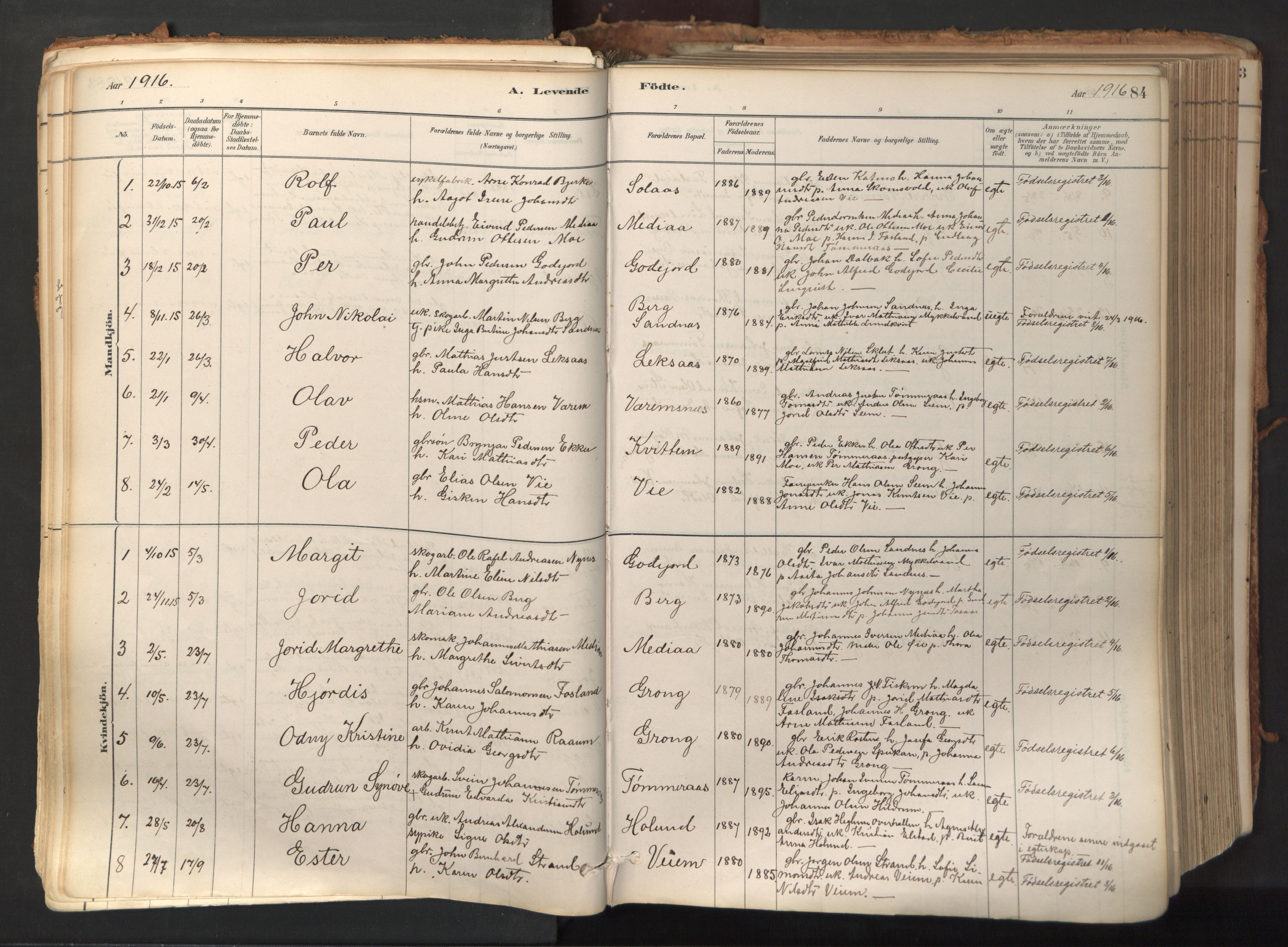 Ministerialprotokoller, klokkerbøker og fødselsregistre - Nord-Trøndelag, AV/SAT-A-1458/758/L0519: Parish register (official) no. 758A04, 1880-1926, p. 84