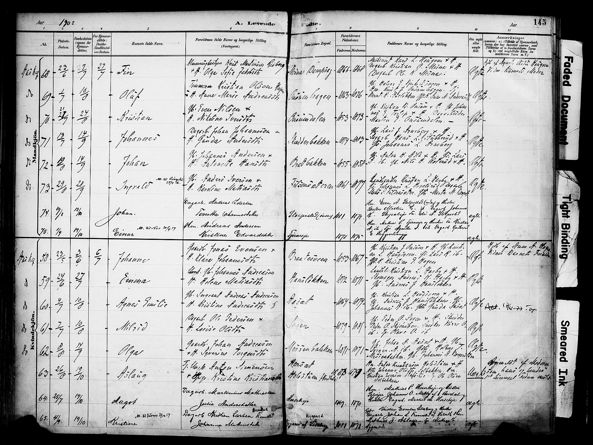 Ringsaker prestekontor, AV/SAH-PREST-014/K/Ka/L0017: Parish register (official) no. 17, 1891-1902, p. 145