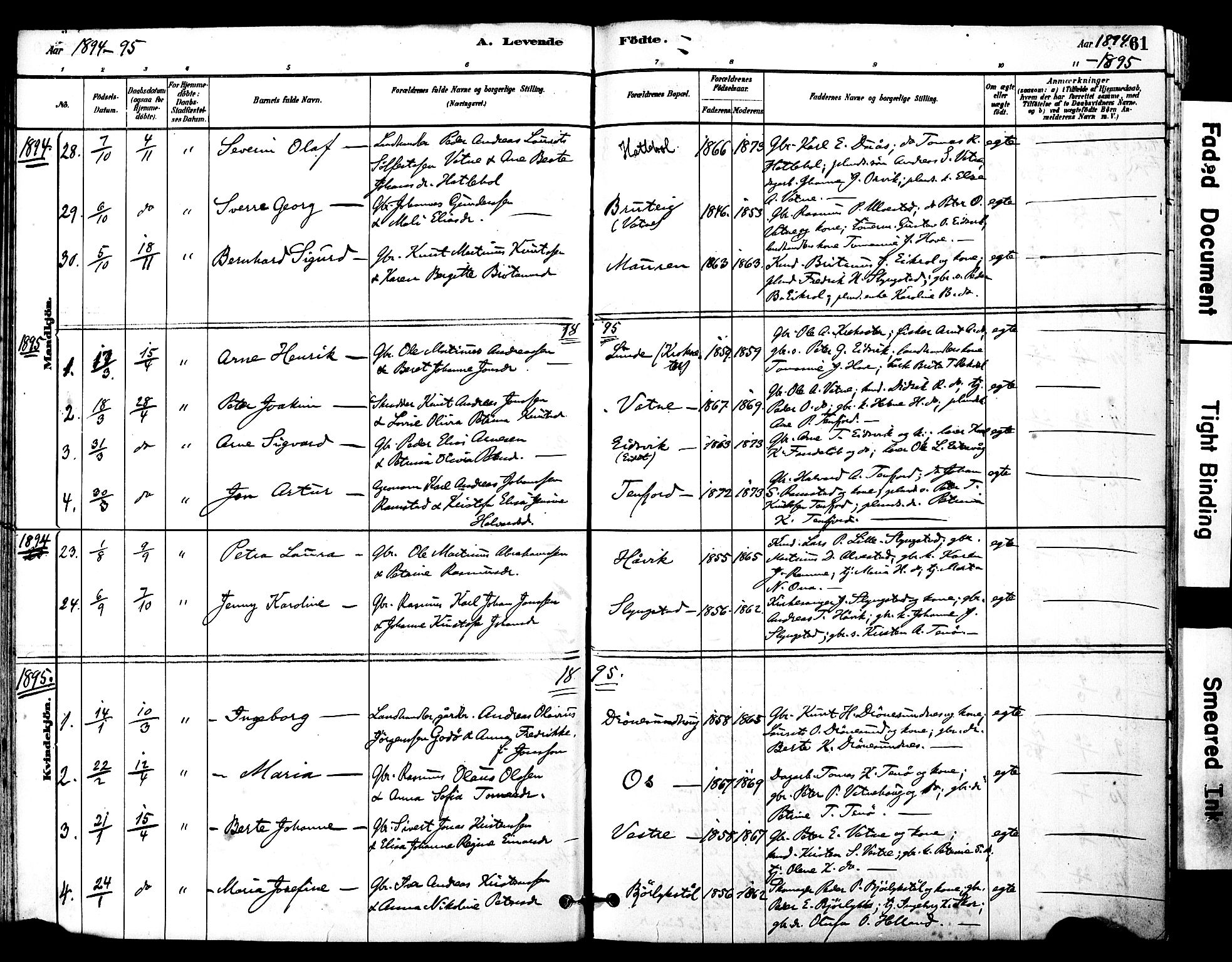 Ministerialprotokoller, klokkerbøker og fødselsregistre - Møre og Romsdal, SAT/A-1454/525/L0374: Parish register (official) no. 525A04, 1880-1899, p. 61
