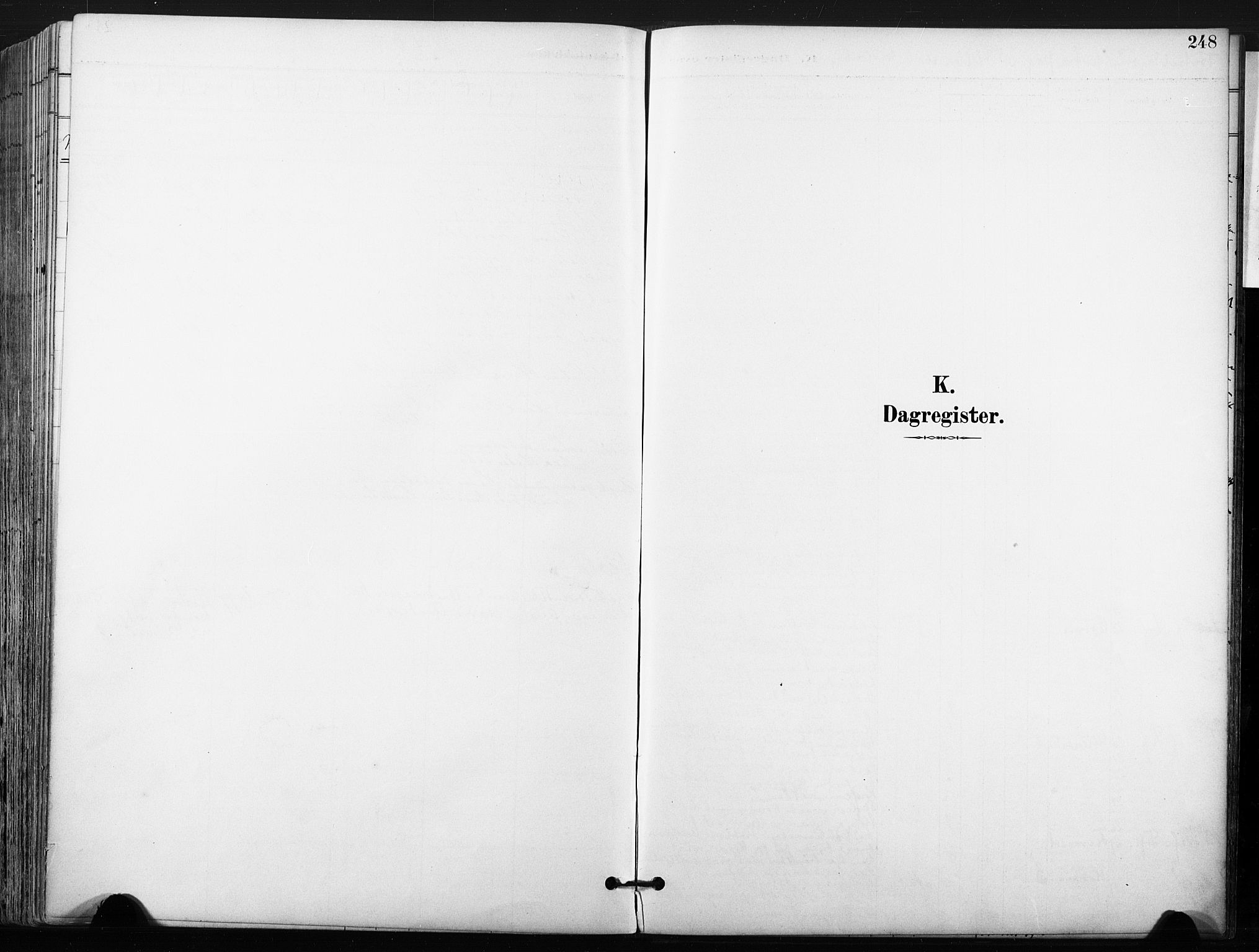 Ullensaker prestekontor Kirkebøker, AV/SAO-A-10236a/F/Fb/L0002: Parish register (official) no. II 2, 1894-1909, p. 248