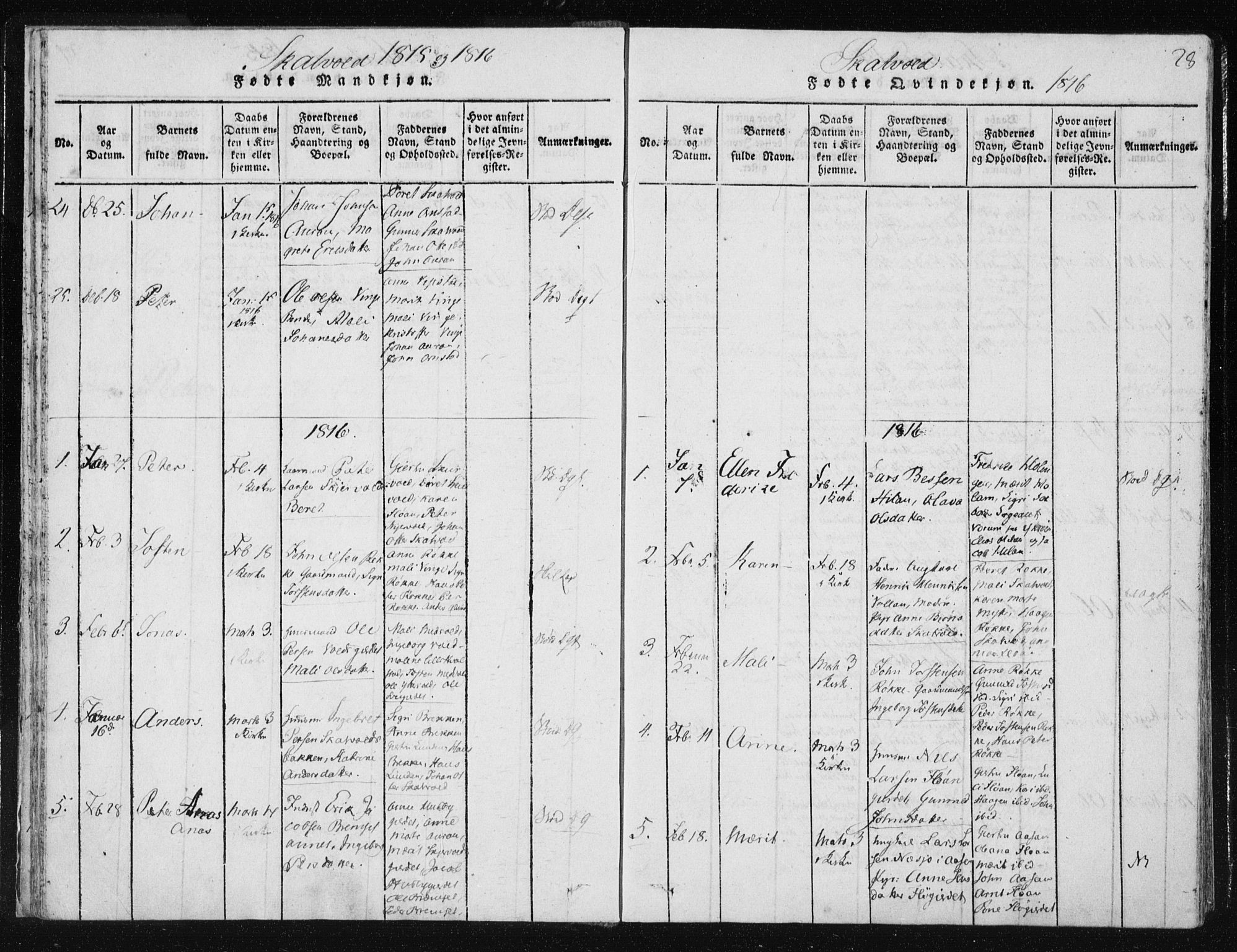 Ministerialprotokoller, klokkerbøker og fødselsregistre - Nord-Trøndelag, SAT/A-1458/709/L0061: Parish register (official) no. 709A08 /2, 1815-1819, p. 28