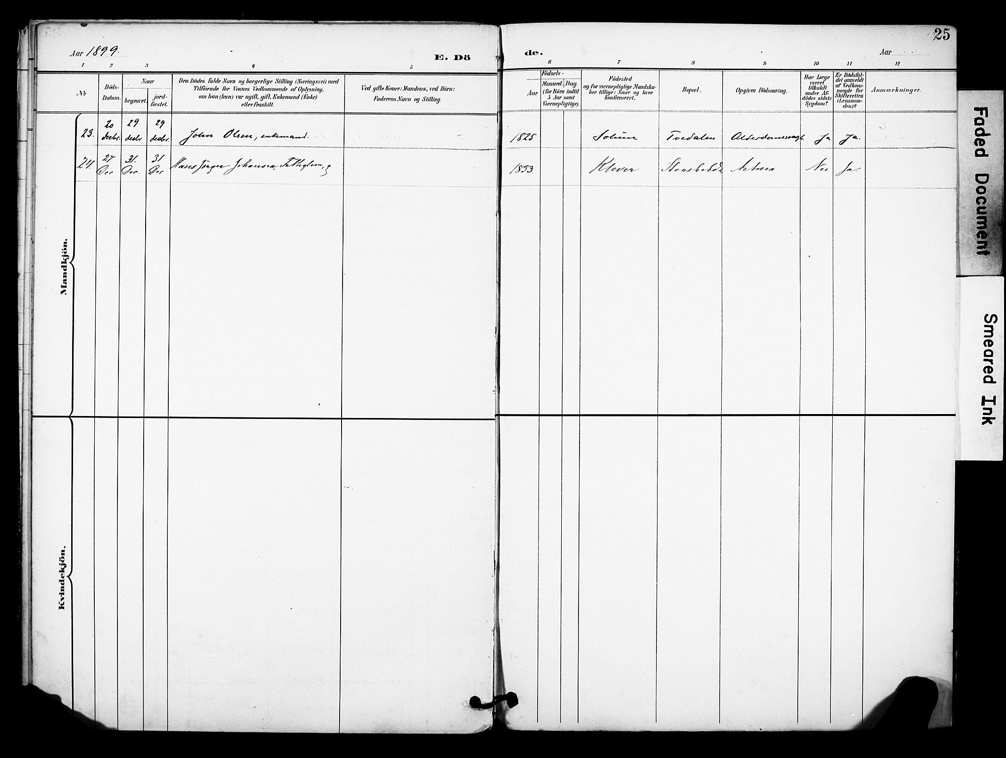 Brunlanes kirkebøker, AV/SAKO-A-342/F/Fc/L0002: Parish register (official) no. III 2, 1895-1899, p. 25