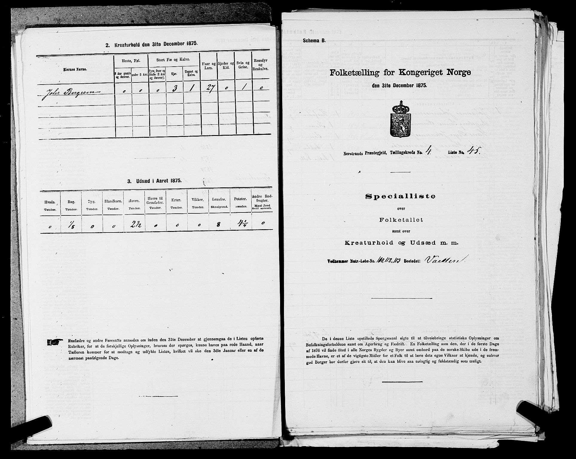 SAST, 1875 census for 1139P Nedstrand, 1875, p. 236