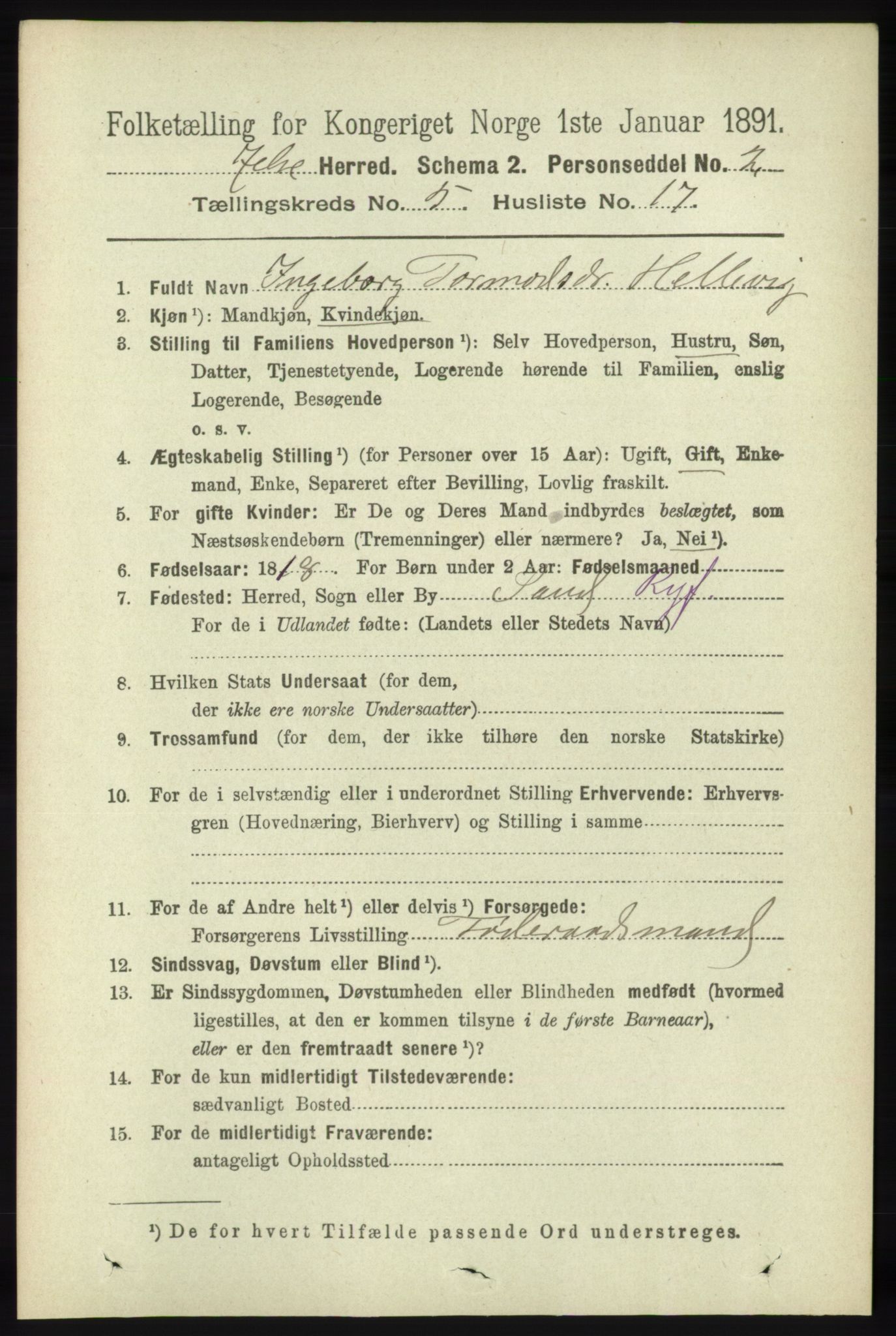 RA, 1891 census for 1138 Jelsa, 1891, p. 1142