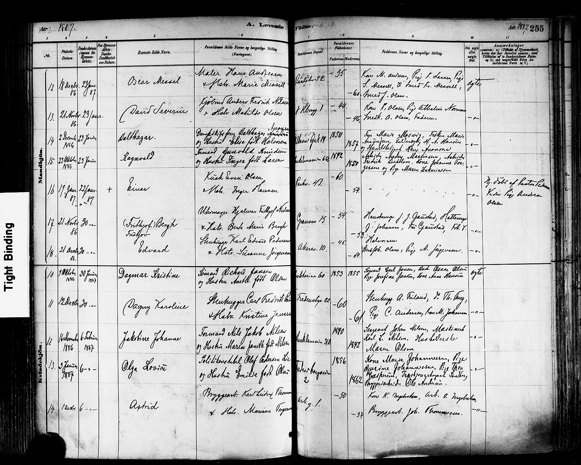 Trefoldighet prestekontor Kirkebøker, AV/SAO-A-10882/F/Fa/L0005: Parish register (official) no. I 5, 1881-1891, p. 255