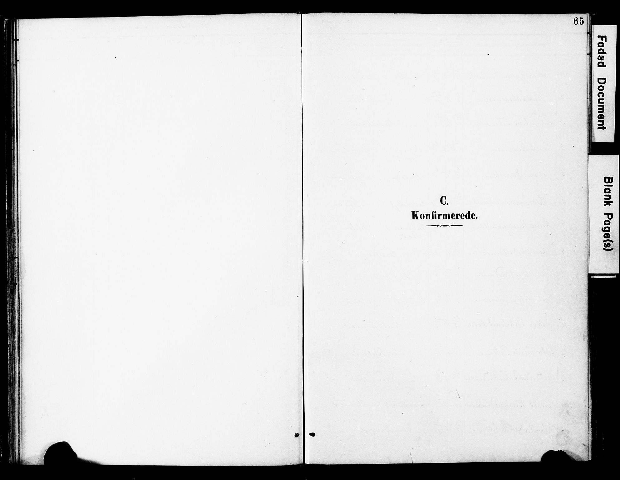 Ministerialprotokoller, klokkerbøker og fødselsregistre - Nord-Trøndelag, SAT/A-1458/742/L0409: Parish register (official) no. 742A02, 1891-1905, p. 65