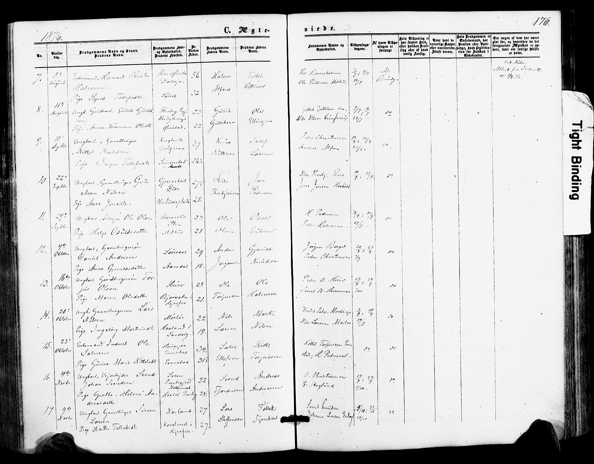 Froland sokneprestkontor, AV/SAK-1111-0013/F/Fa/L0003: Parish register (official) no. A 3, 1864-1881, p. 176