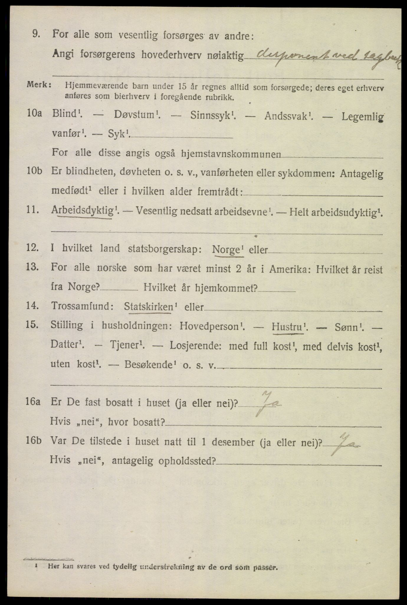 SAK, 1920 census for Hornnes, 1920, p. 732