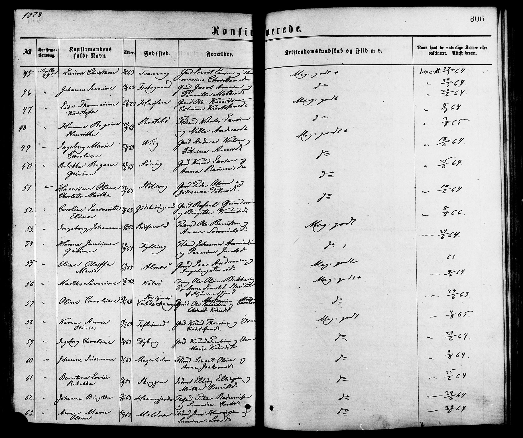 Ministerialprotokoller, klokkerbøker og fødselsregistre - Møre og Romsdal, AV/SAT-A-1454/528/L0400: Parish register (official) no. 528A11, 1871-1879, p. 306