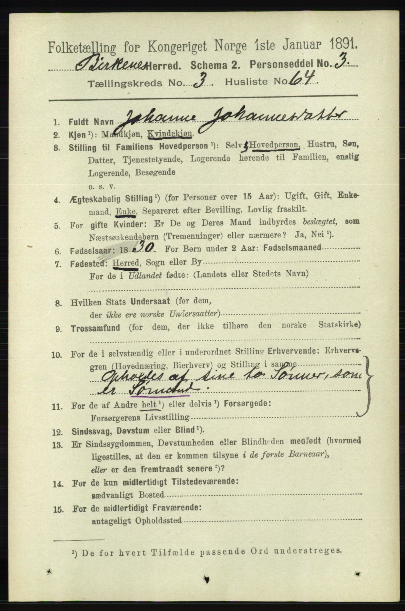 RA, 1891 Census for 0928 Birkenes, 1891, p. 1196