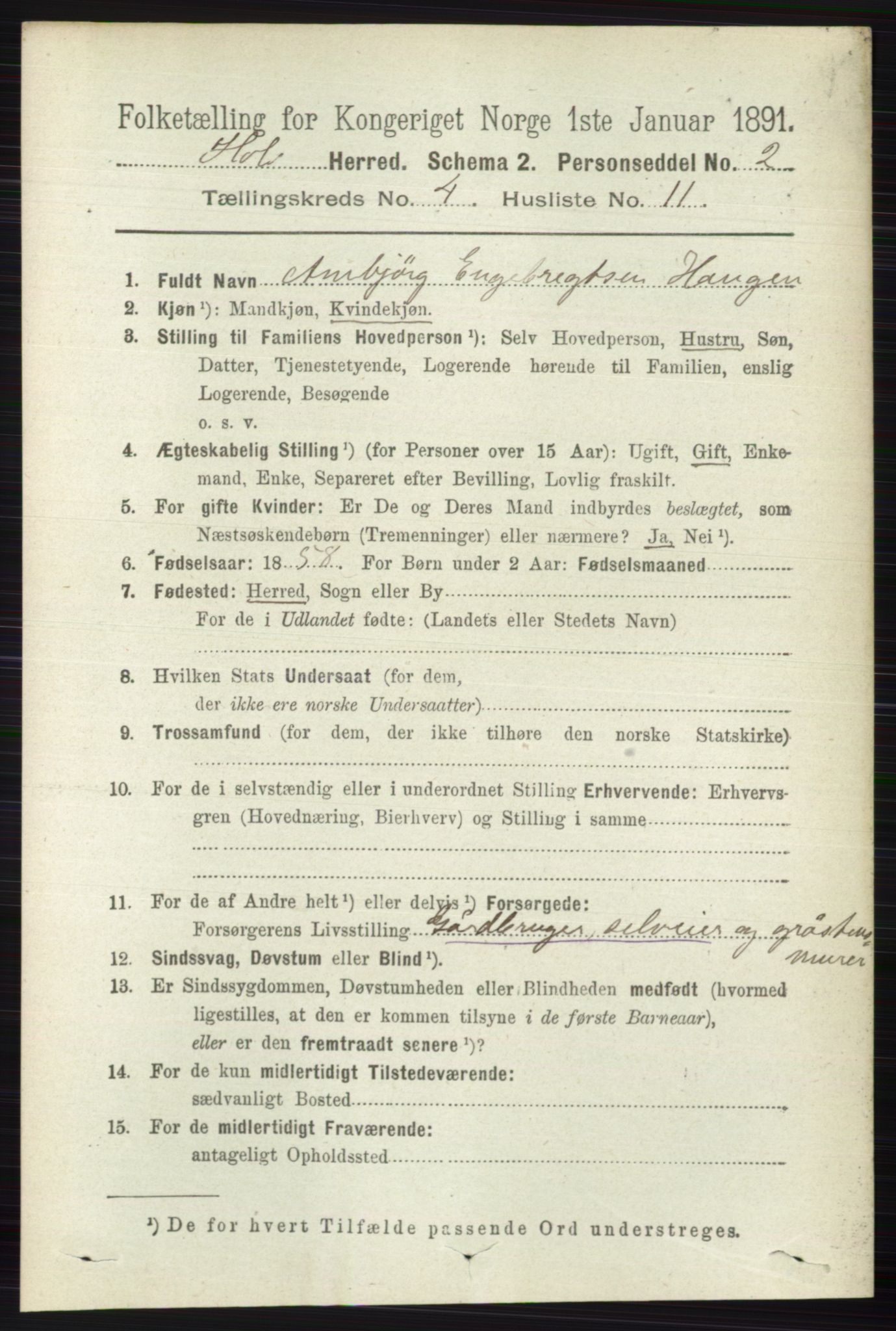 RA, 1891 census for 0620 Hol, 1891, p. 1317