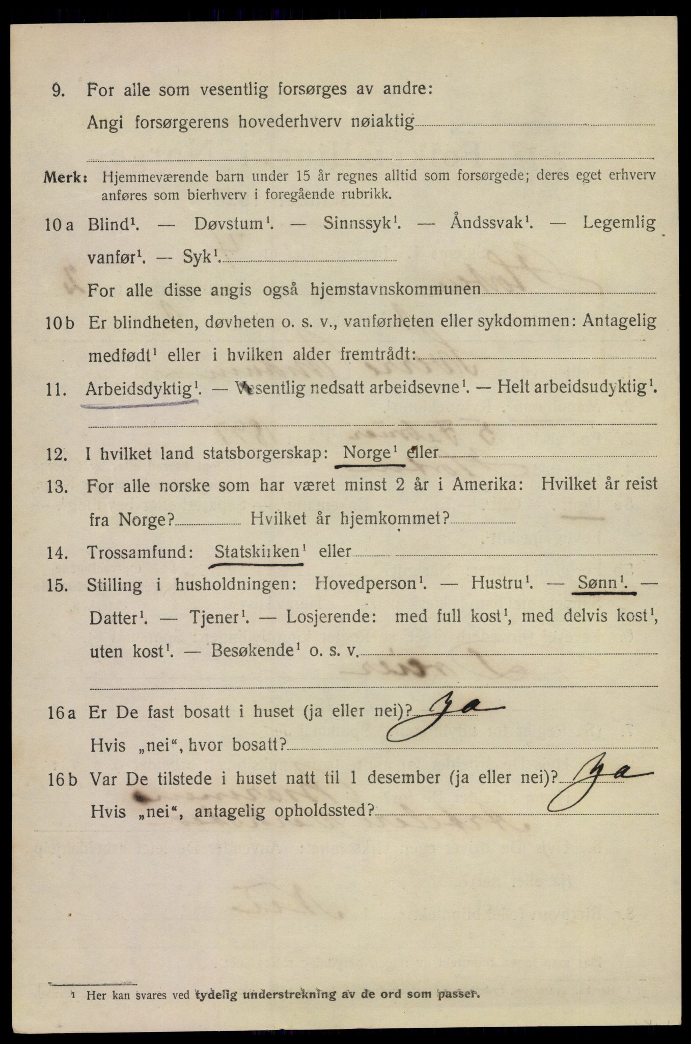 SAKO, 1920 census for Horten, 1920, p. 10352