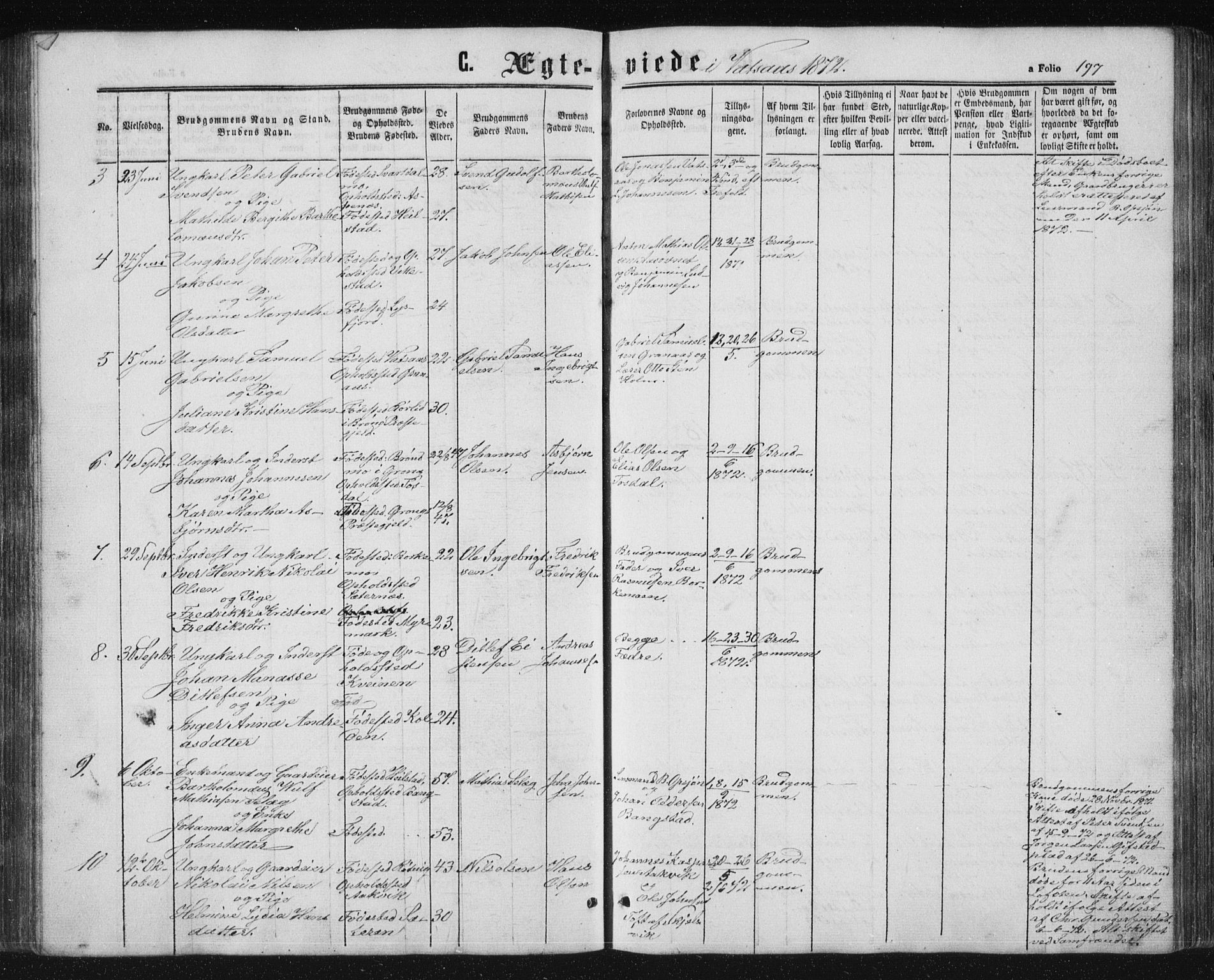 Ministerialprotokoller, klokkerbøker og fødselsregistre - Nordland, AV/SAT-A-1459/810/L0158: Parish register (copy) no. 810C02 /1, 1863-1883, p. 197