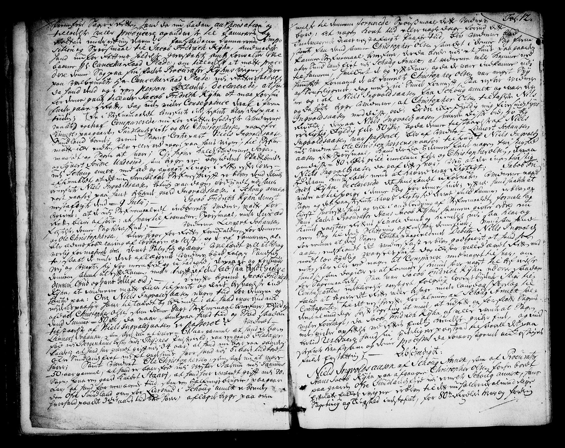 Nordre Jarlsberg sorenskriveri, AV/SAKO-A-80/F/Fa/Faa/L0023: Tingbok, 1743-1748, p. 12