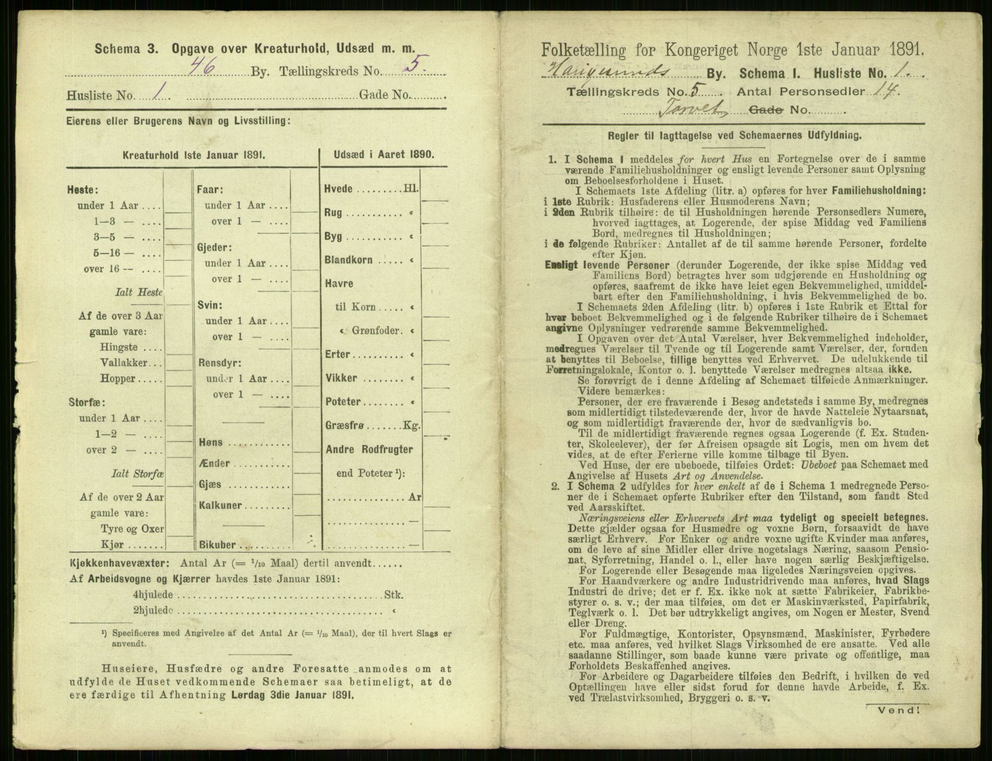 RA, 1891 census for 1106 Haugesund, 1891, p. 321