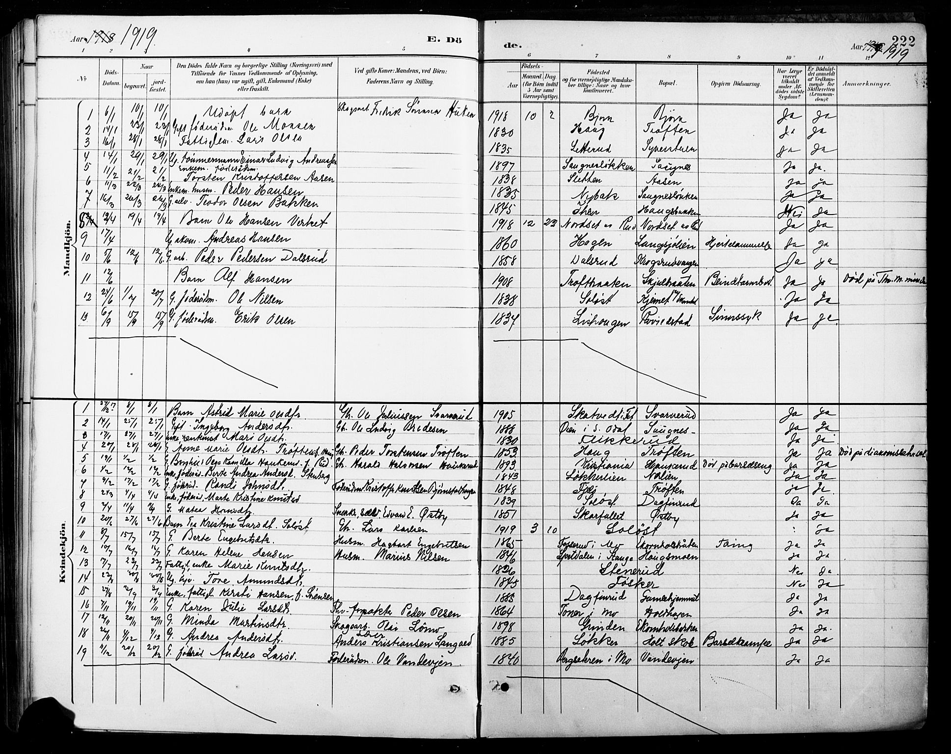 Nord-Odal prestekontor, AV/SAH-PREST-032/H/Ha/Hab/L0003: Parish register (copy) no. 3, 1895-1923, p. 222