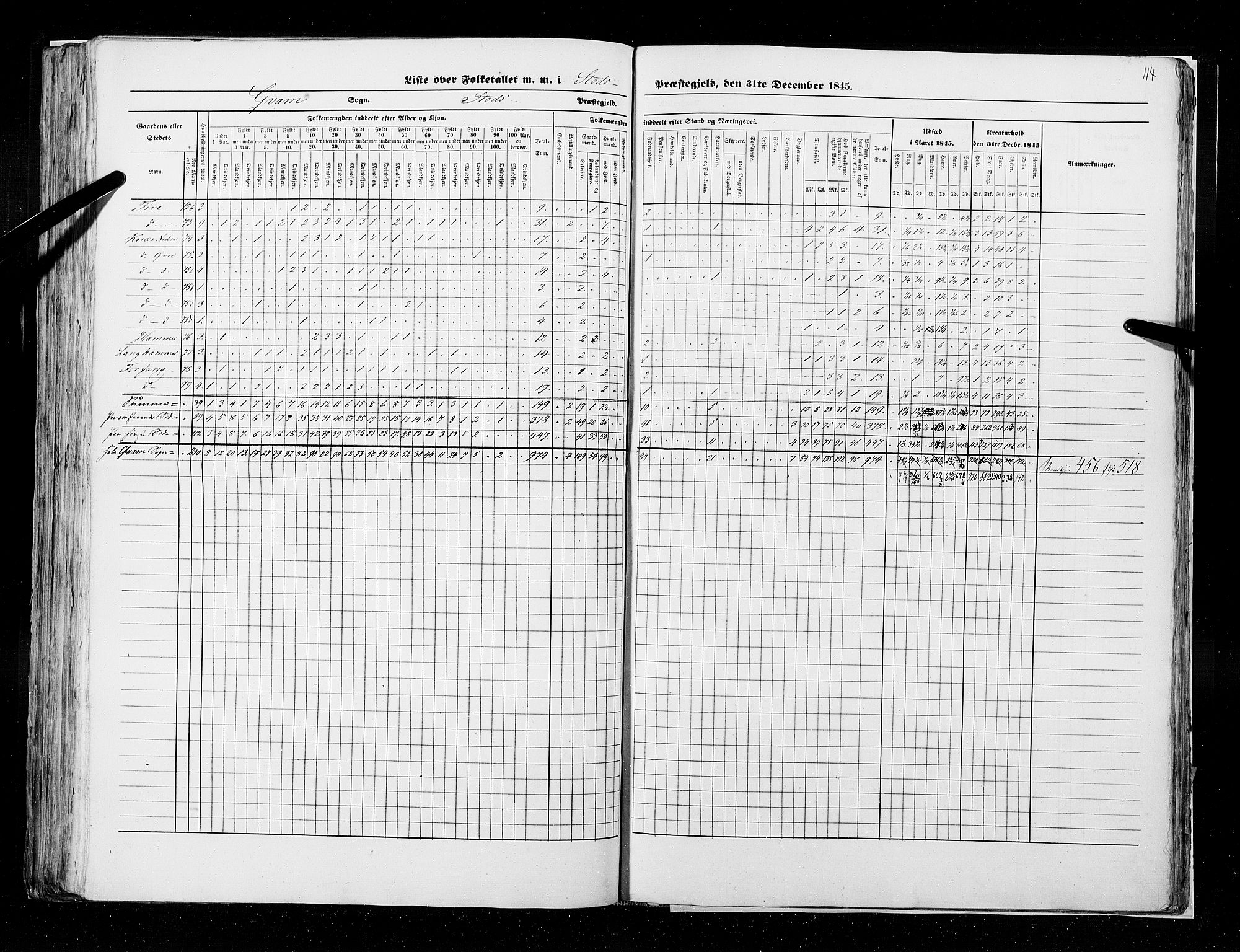 RA, Census 1845, vol. 9A: Nordre Trondhjems amt, 1845, p. 114