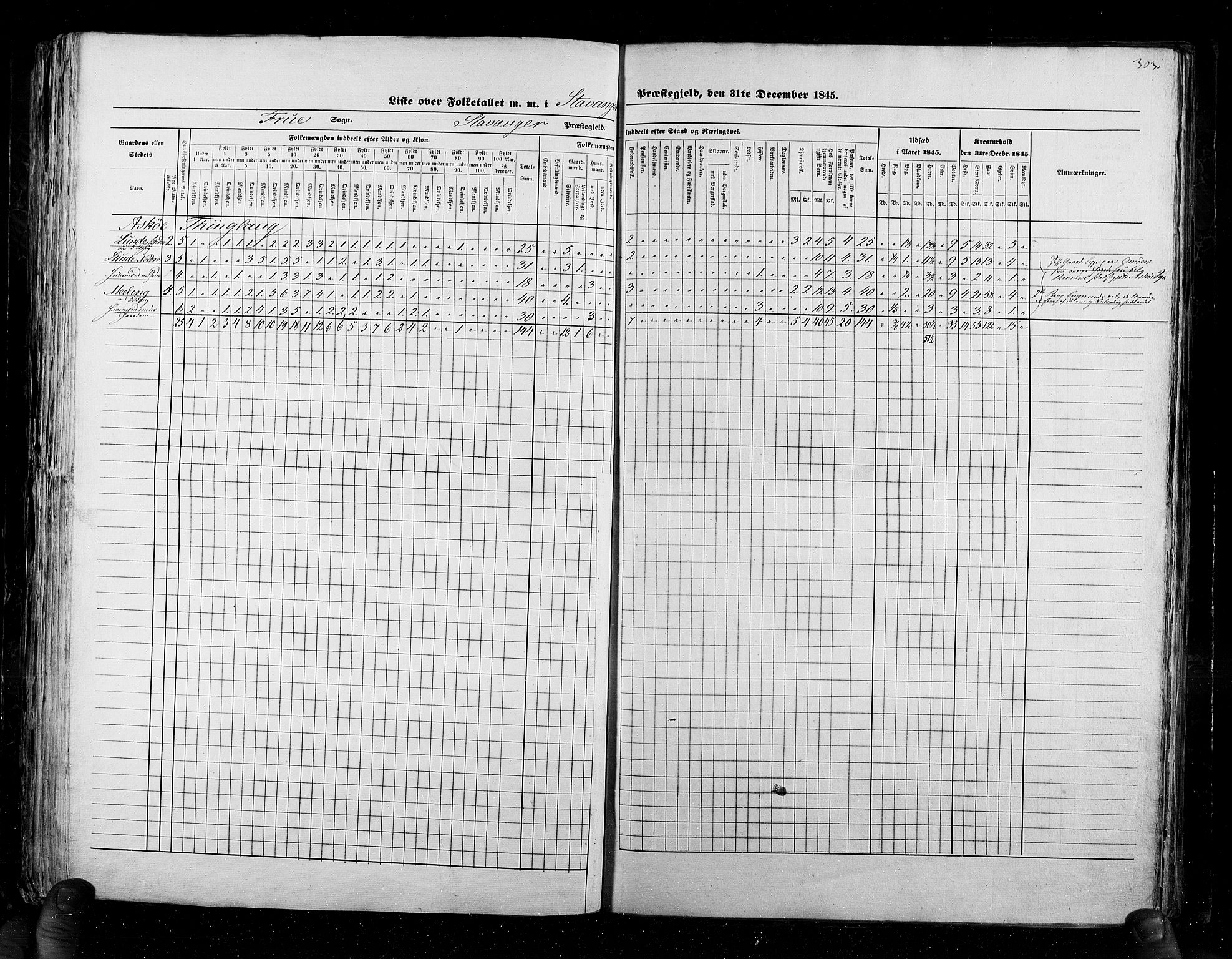 RA, Census 1845, vol. 6: Lister og Mandal amt og Stavanger amt, 1845, p. 303