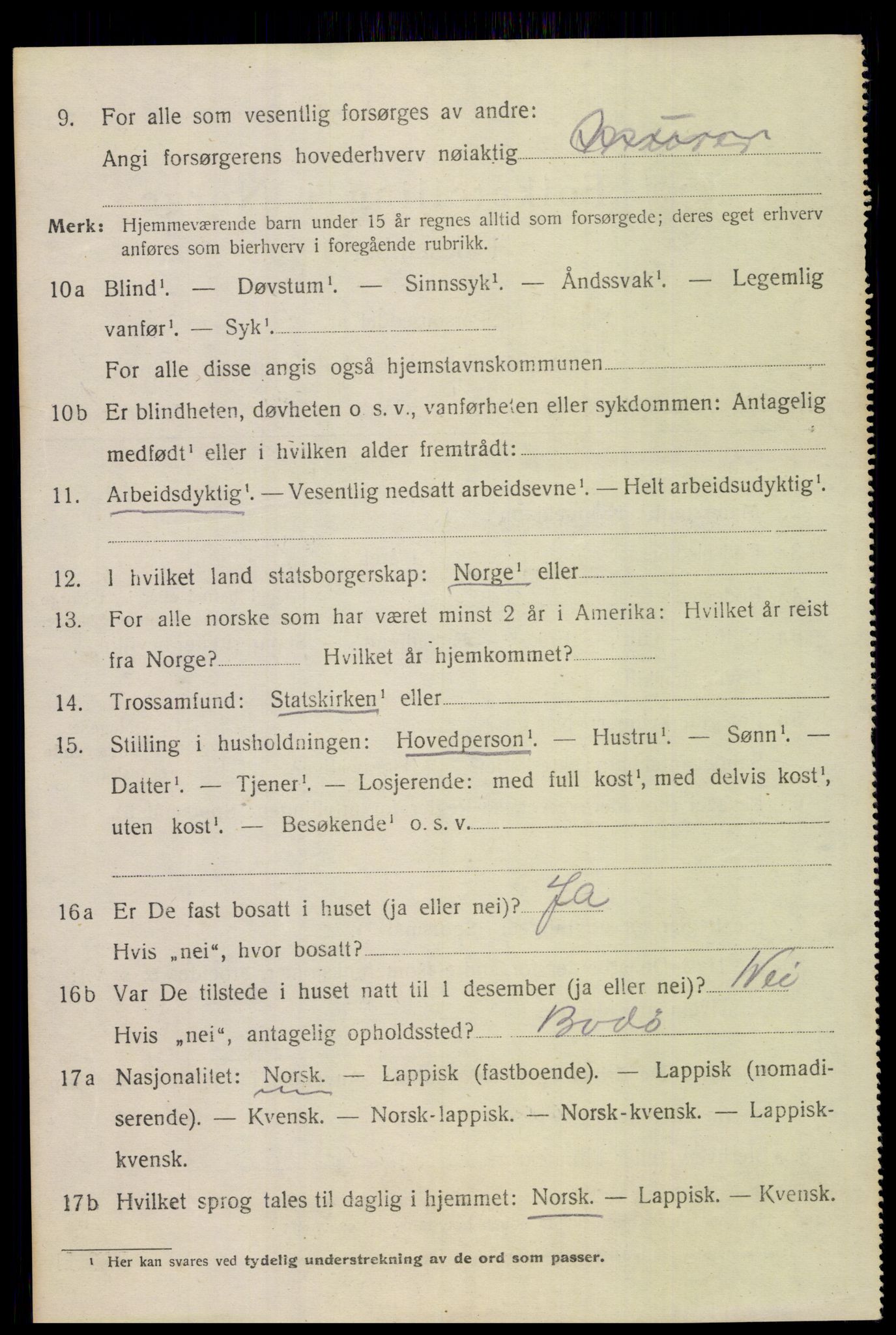 SAT, 1920 census for Bodin, 1920, p. 6877