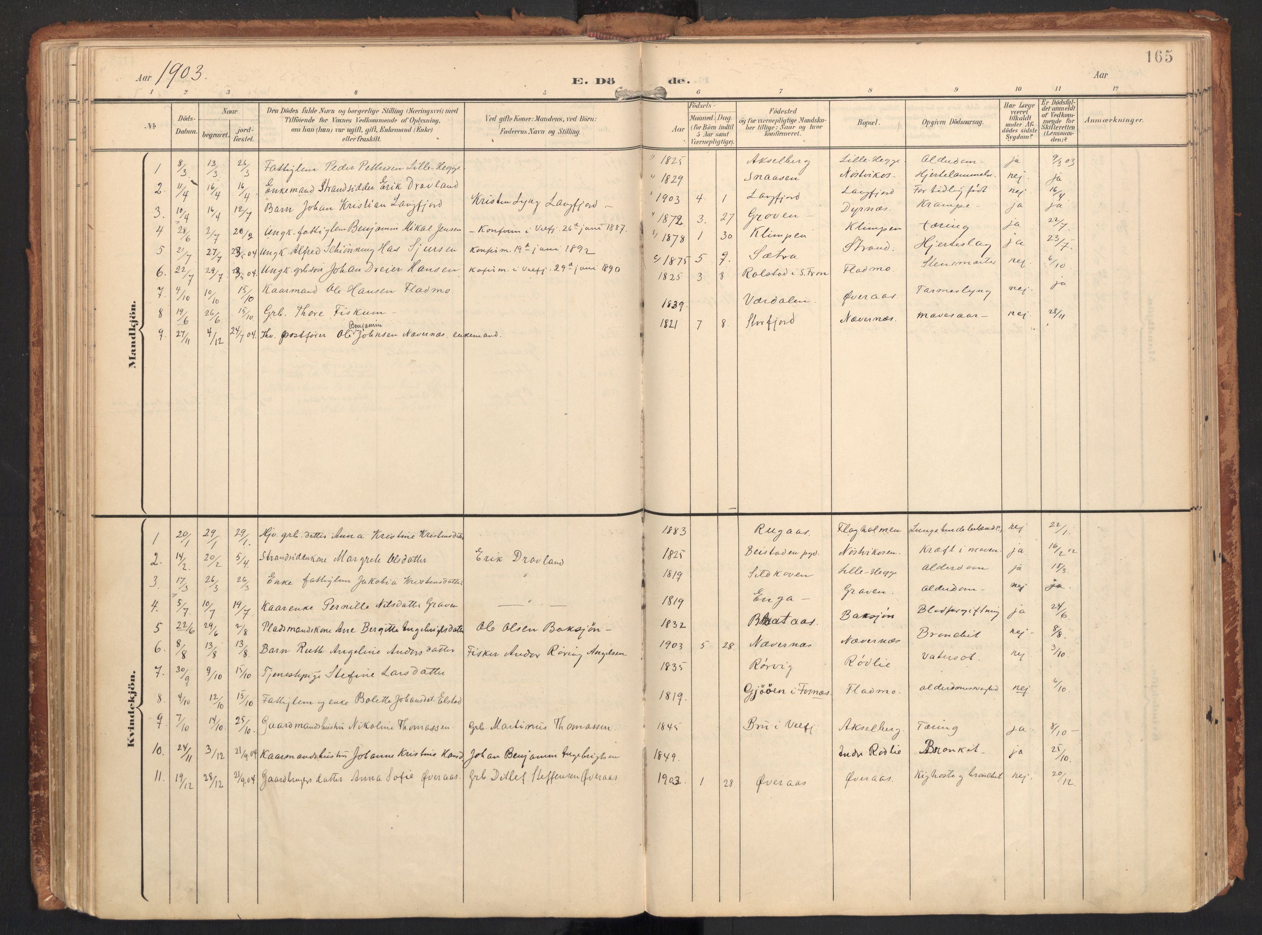 Ministerialprotokoller, klokkerbøker og fødselsregistre - Nordland, SAT/A-1459/814/L0227: Parish register (official) no. 814A08, 1899-1920, p. 165