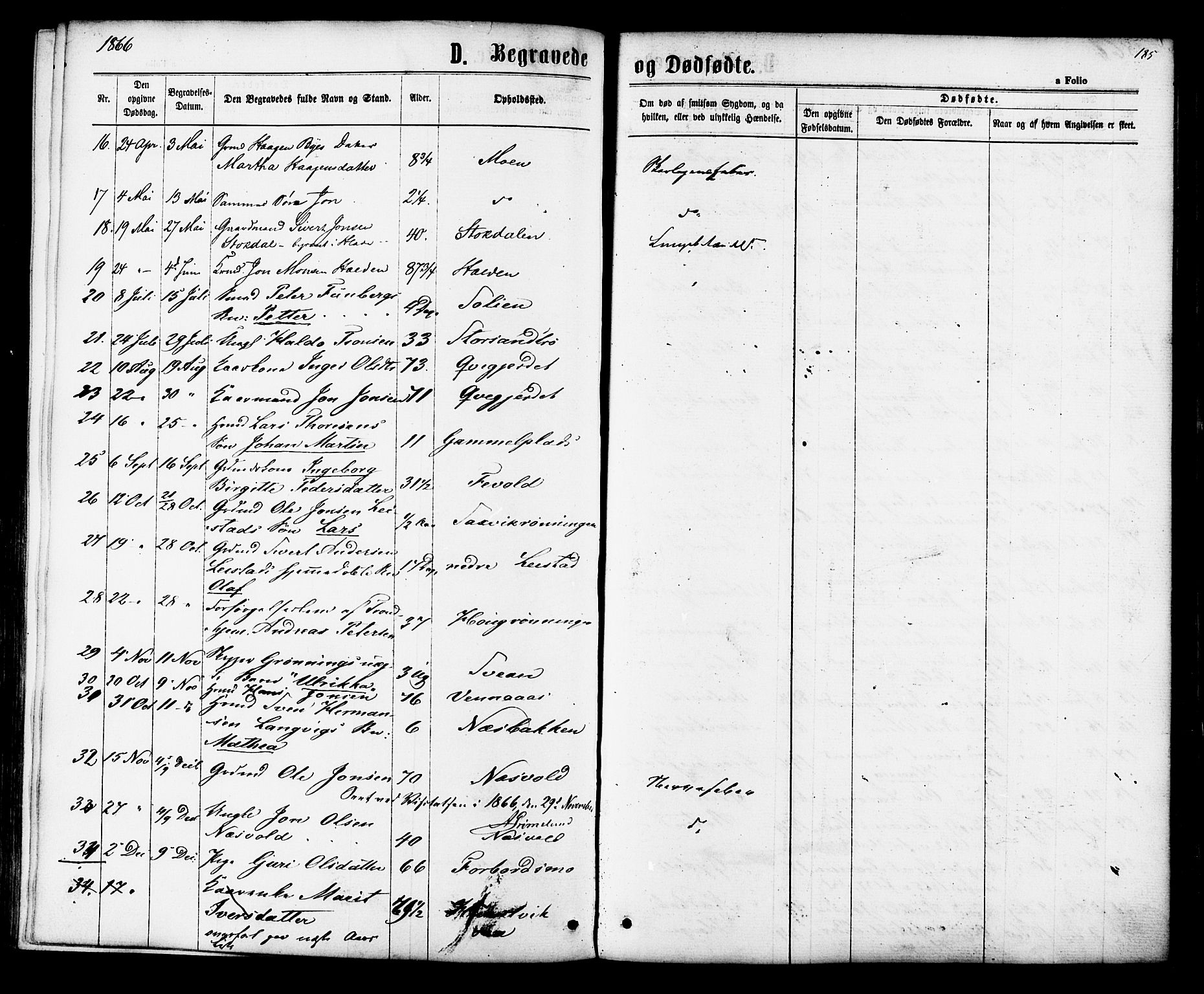 Ministerialprotokoller, klokkerbøker og fødselsregistre - Sør-Trøndelag, AV/SAT-A-1456/616/L0409: Parish register (official) no. 616A06, 1865-1877, p. 185