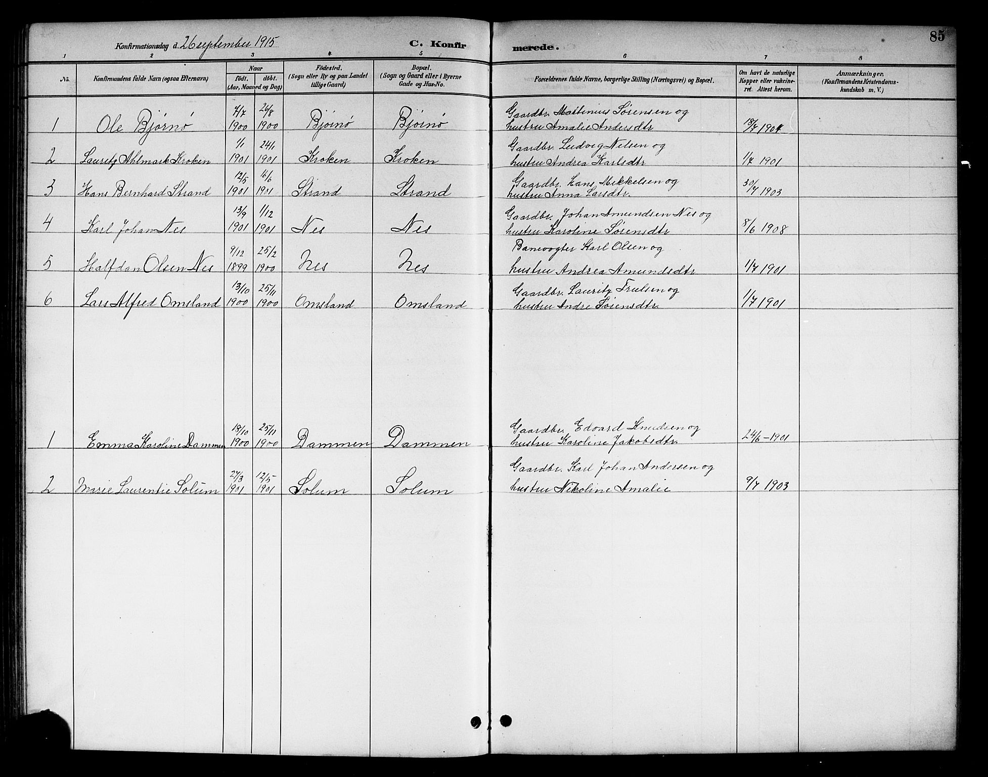 Brunlanes kirkebøker, SAKO/A-342/G/Gc/L0002: Parish register (copy) no. III 2, 1891-1922, p. 85