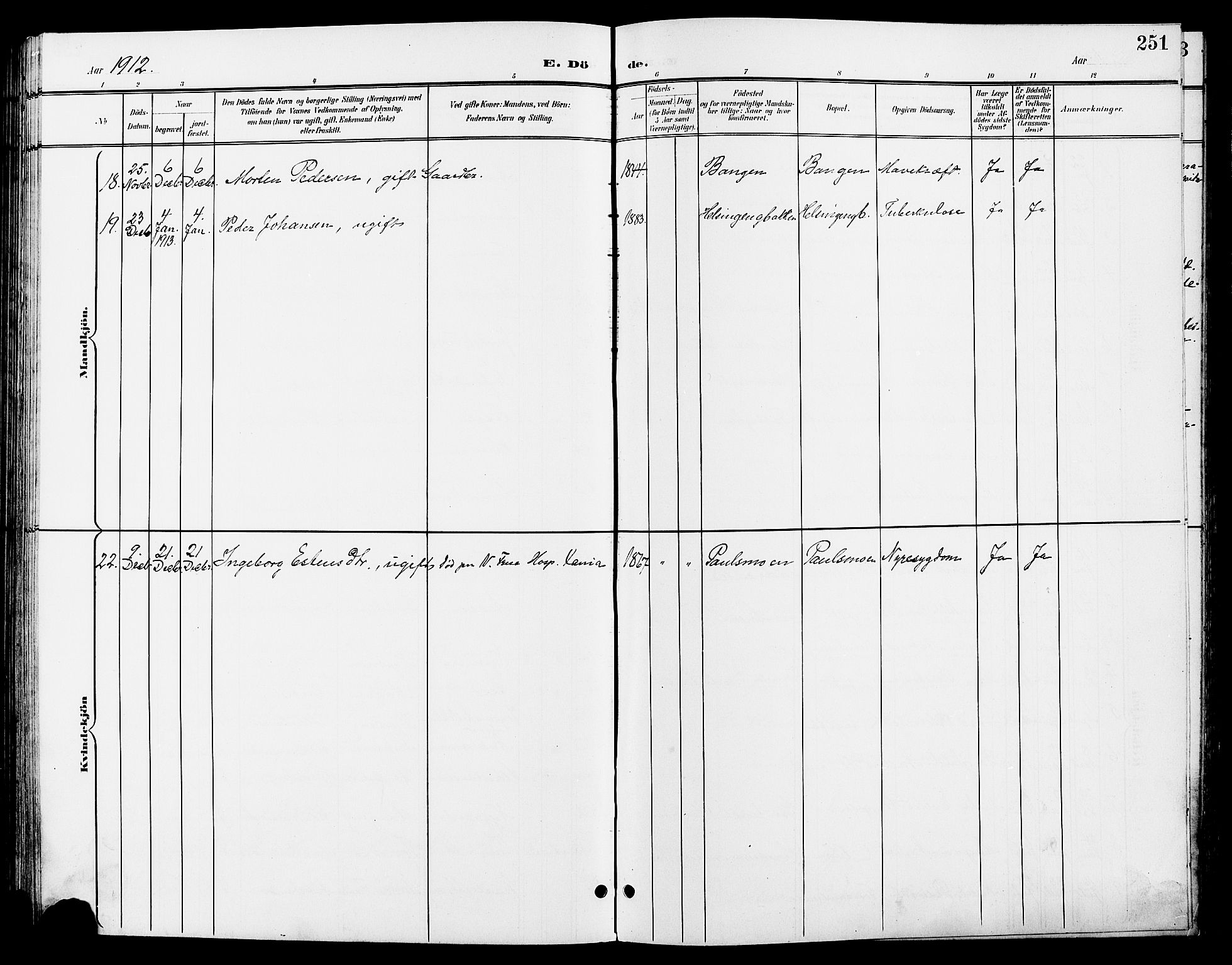 Tynset prestekontor, AV/SAH-PREST-058/H/Ha/Hab/L0009: Parish register (copy) no. 9, 1900-1914, p. 251