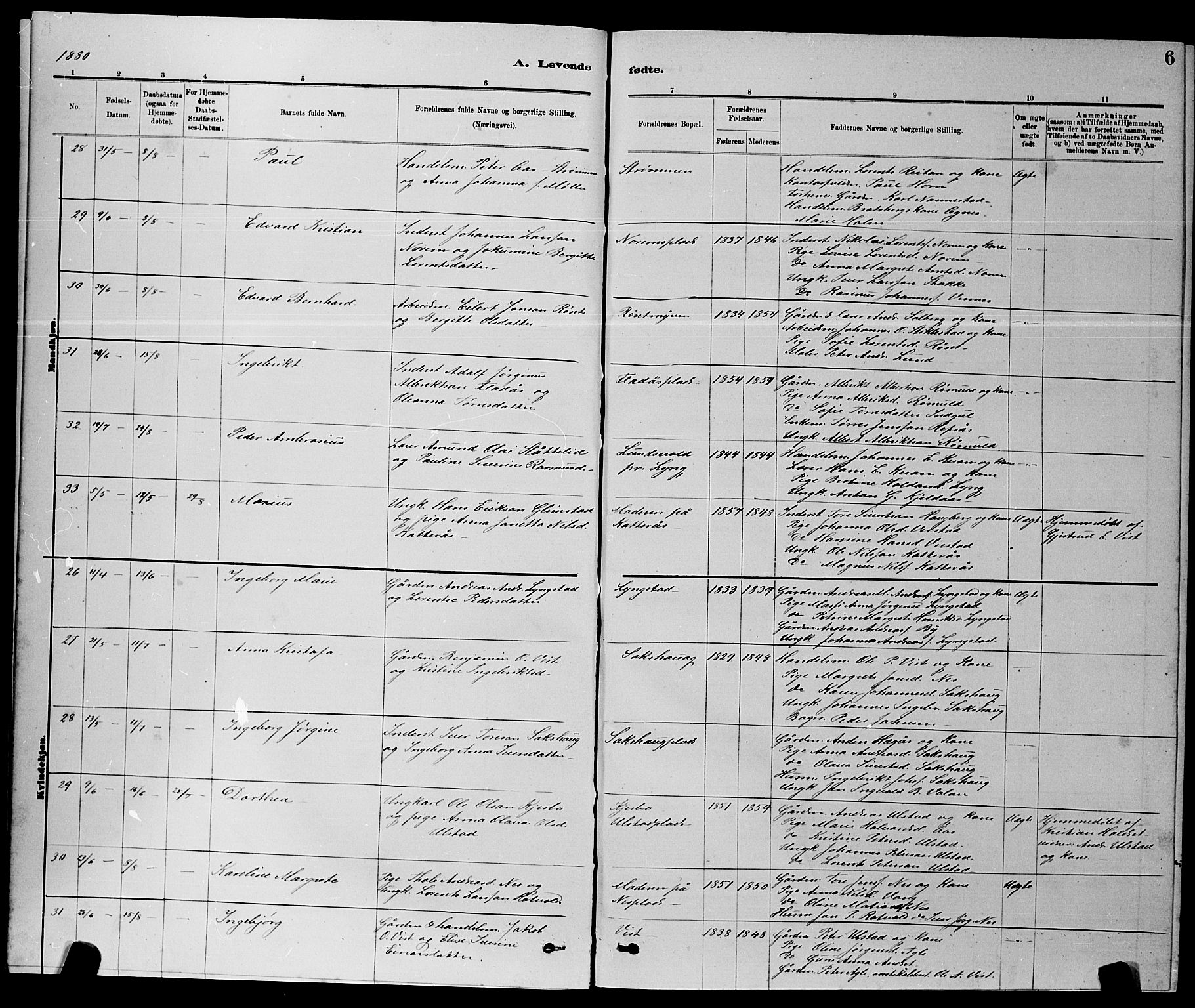 Ministerialprotokoller, klokkerbøker og fødselsregistre - Nord-Trøndelag, AV/SAT-A-1458/730/L0301: Parish register (copy) no. 730C04, 1880-1897, p. 6