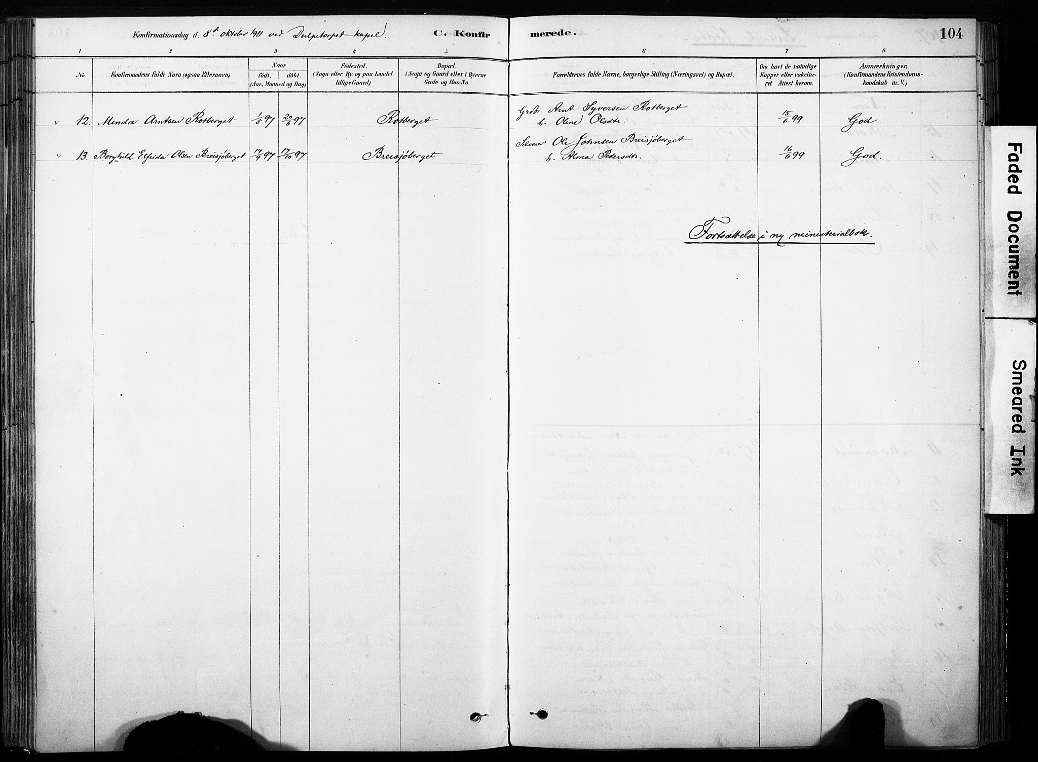 Hof prestekontor, AV/SAH-PREST-038/H/Ha/Haa/L0011: Parish register (official) no. 11, 1879-1911, p. 104