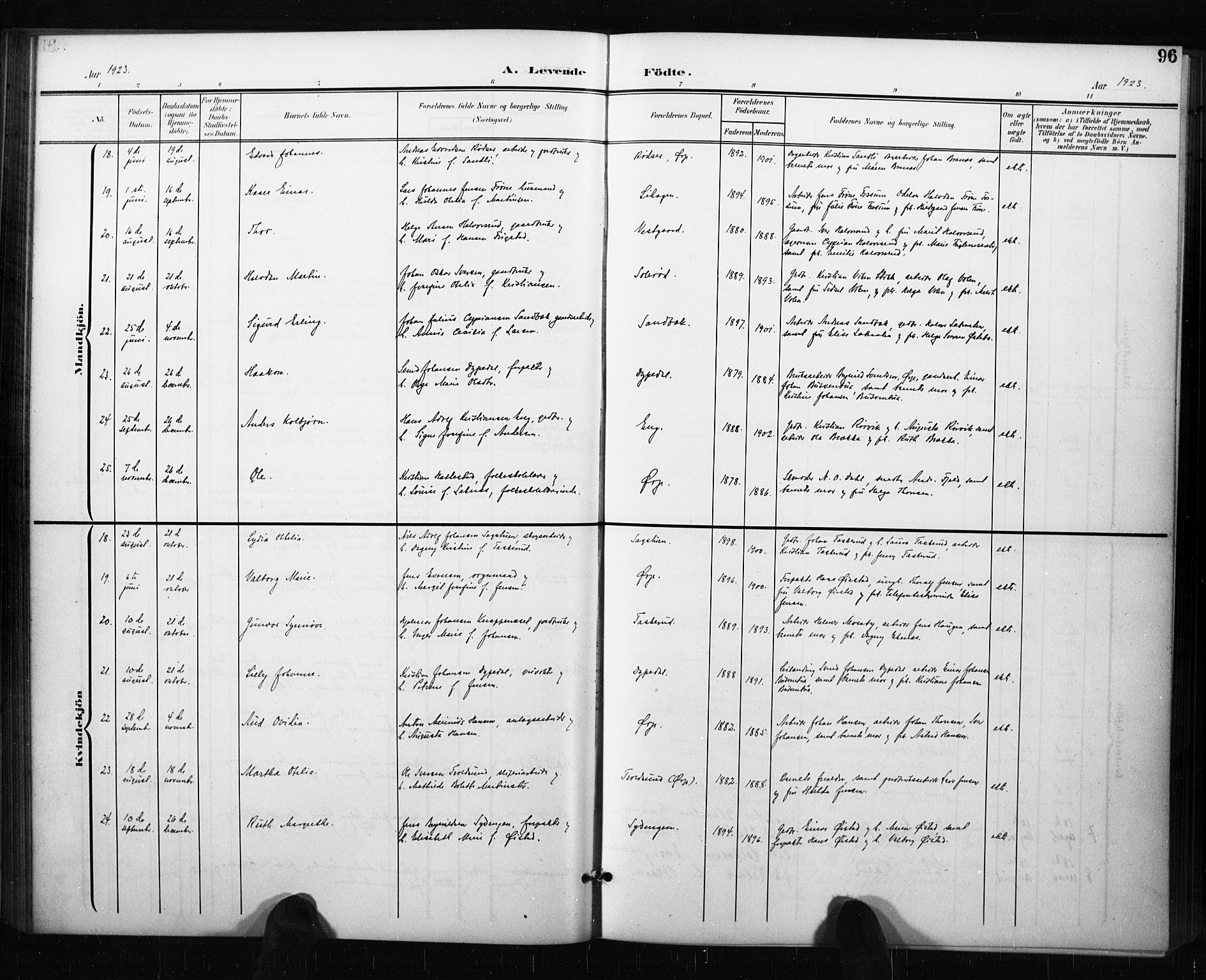 Aremark prestekontor Kirkebøker, SAO/A-10899/G/Gb/L0001: Parish register (copy) no. II 1, 1901-1927, p. 96