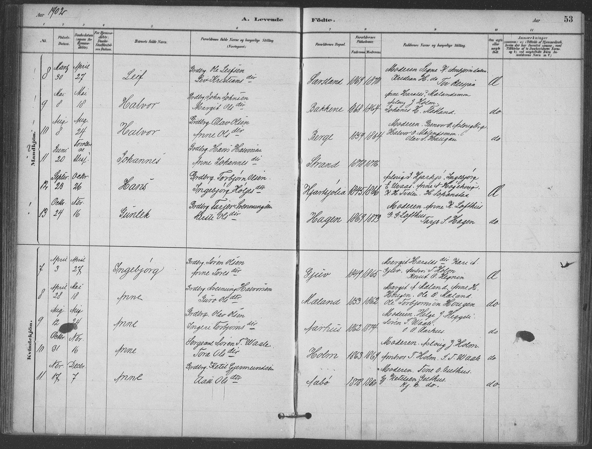 Hjartdal kirkebøker, AV/SAKO-A-270/F/Fa/L0010: Parish register (official) no. I 10, 1880-1929, p. 53