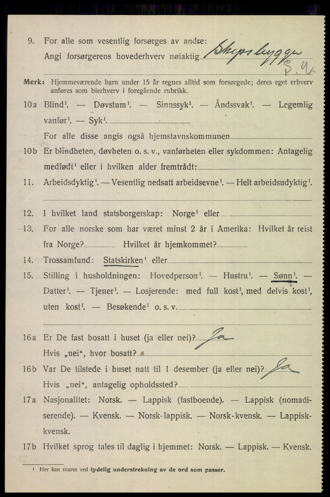 SAT, 1920 census for Saltdal, 1920, p. 2960