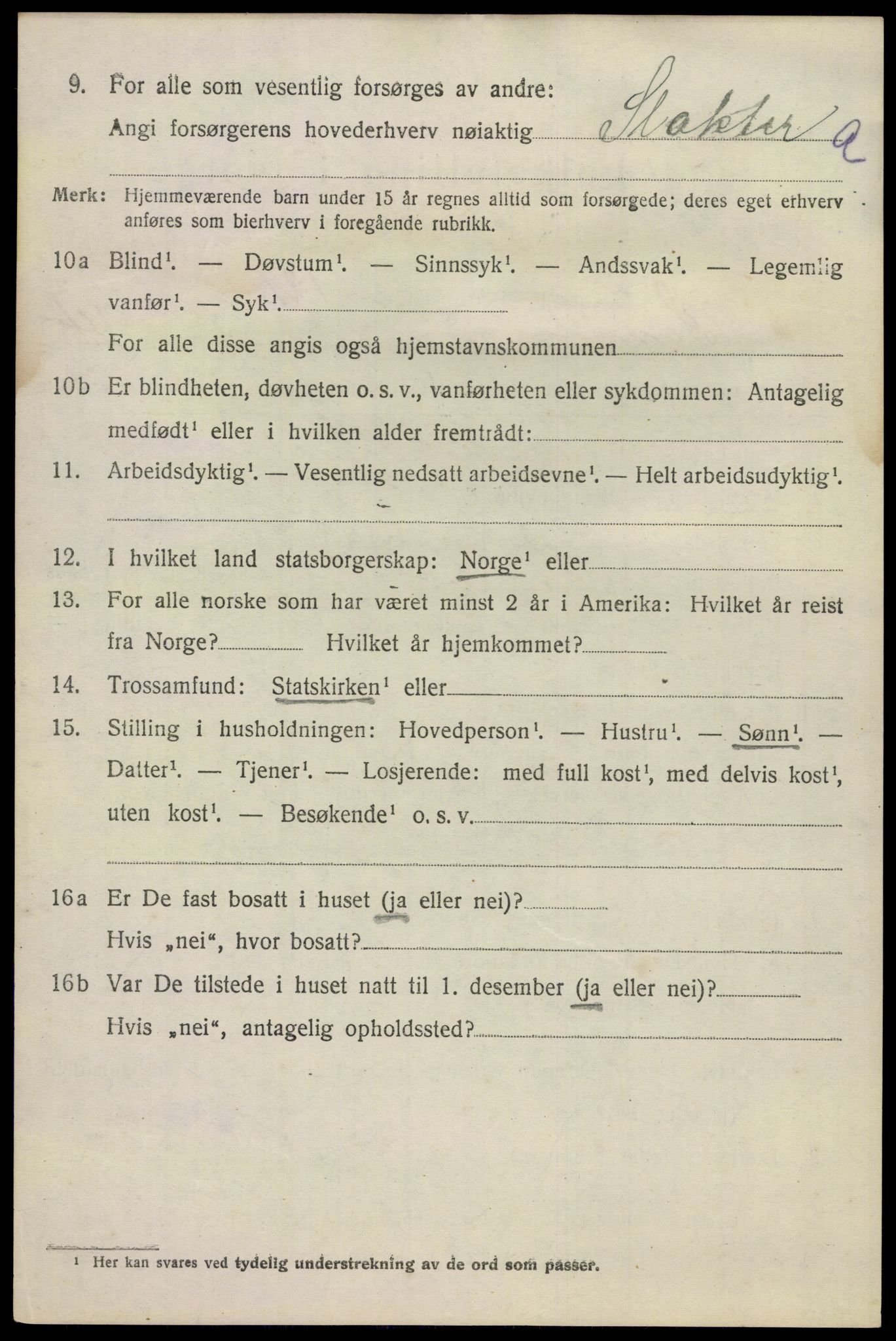 SAKO, 1920 census for Sandeherred, 1920, p. 20199
