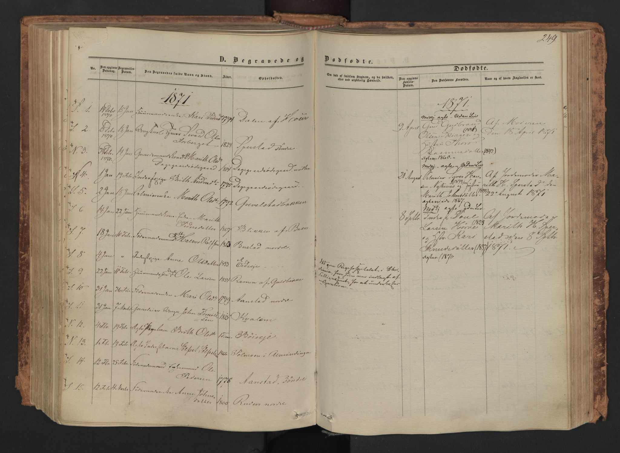 Skjåk prestekontor, SAH/PREST-072/H/Ha/Haa/L0001: Parish register (official) no. 1, 1863-1879, p. 249b
