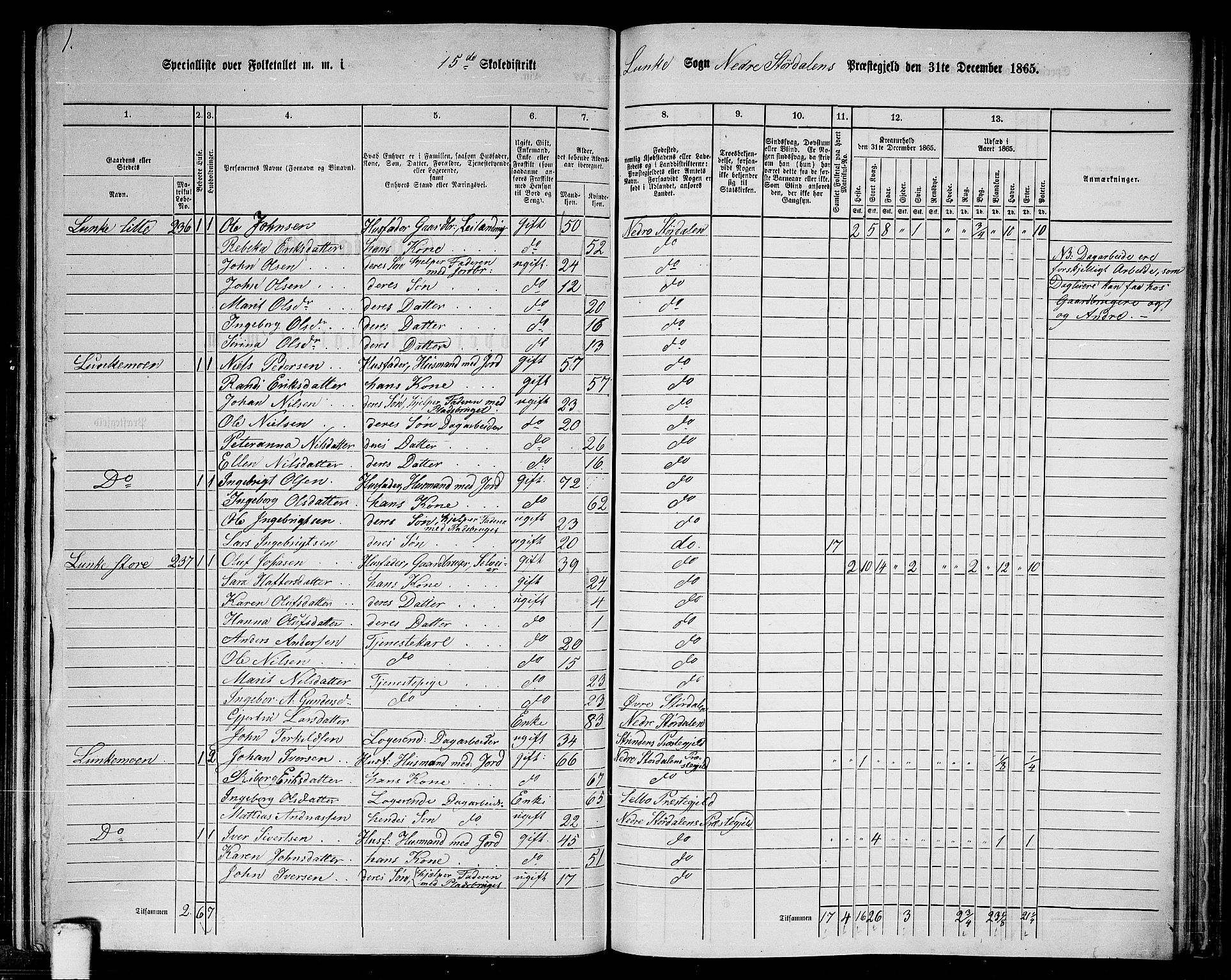 RA, 1865 census for Nedre Stjørdal, 1865, p. 248