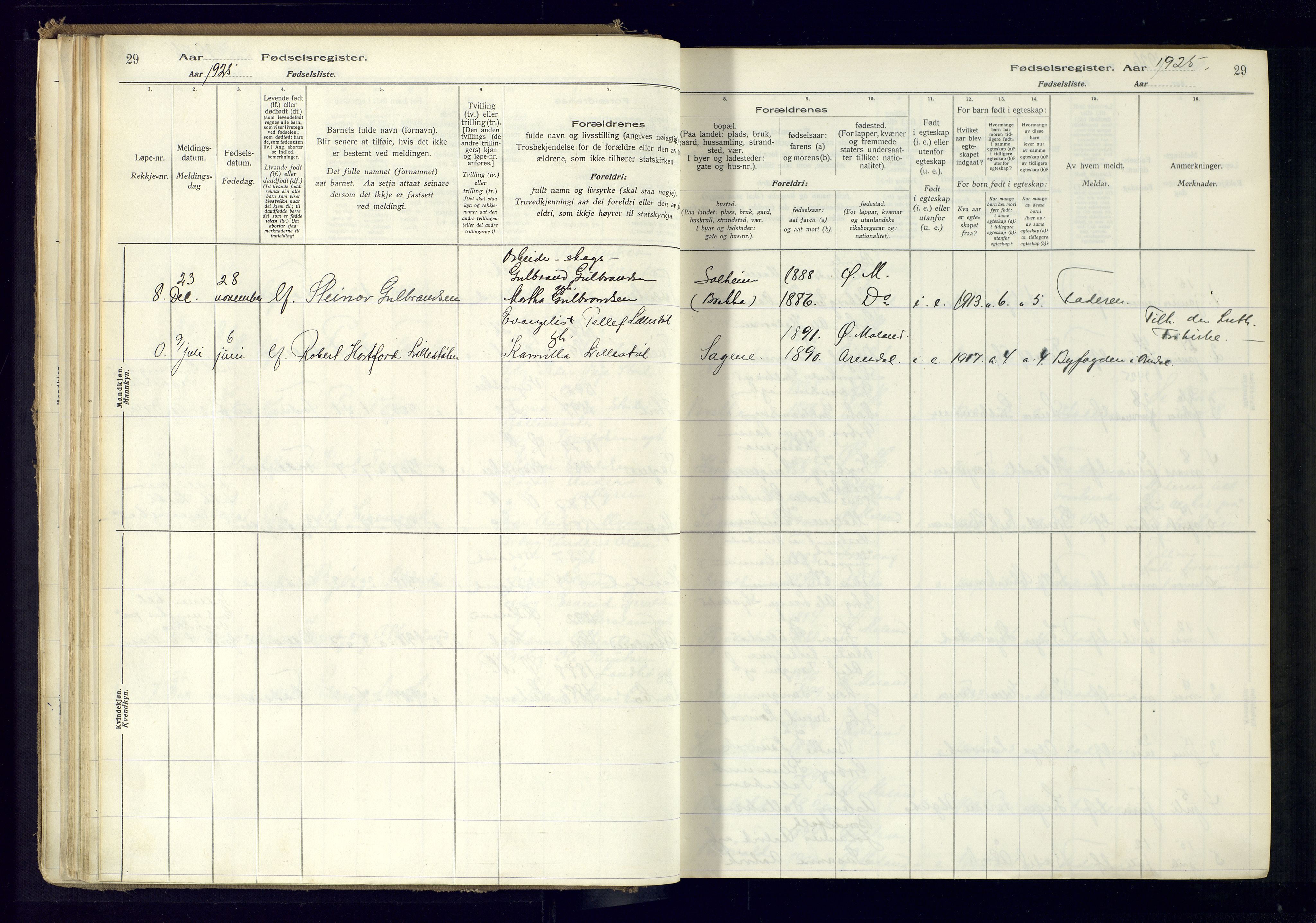 Austre Moland sokneprestkontor, AV/SAK-1111-0001/J/Ja/L0001: Birth register no. A-VI-25, 1916-1975, p. 29