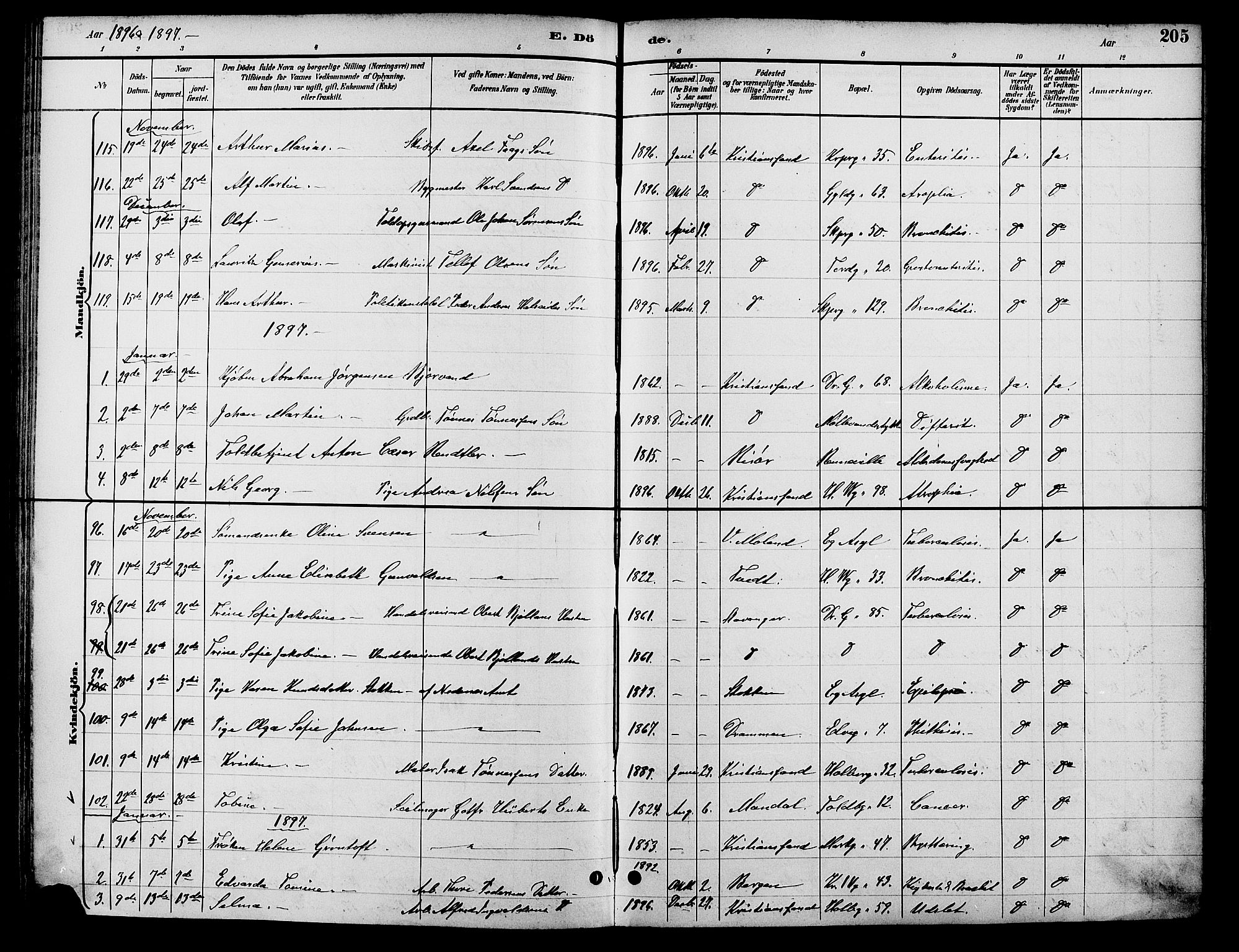 Kristiansand domprosti, SAK/1112-0006/F/Fb/L0017: Parish register (copy) no. B 17, 1893-1906, p. 205