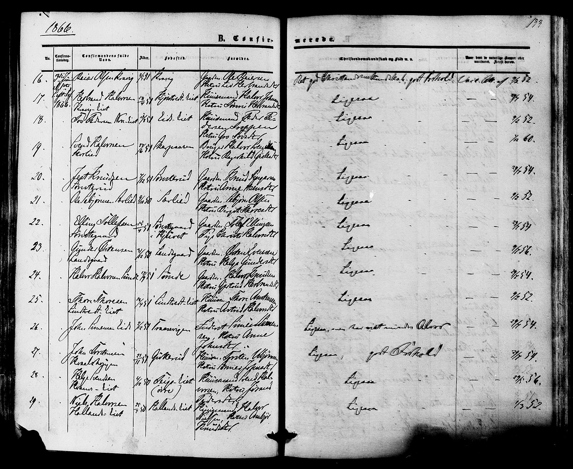 Nore kirkebøker, SAKO/A-238/F/Fa/L0003: Parish register (official) no. I 3, 1858-1866, p. 133