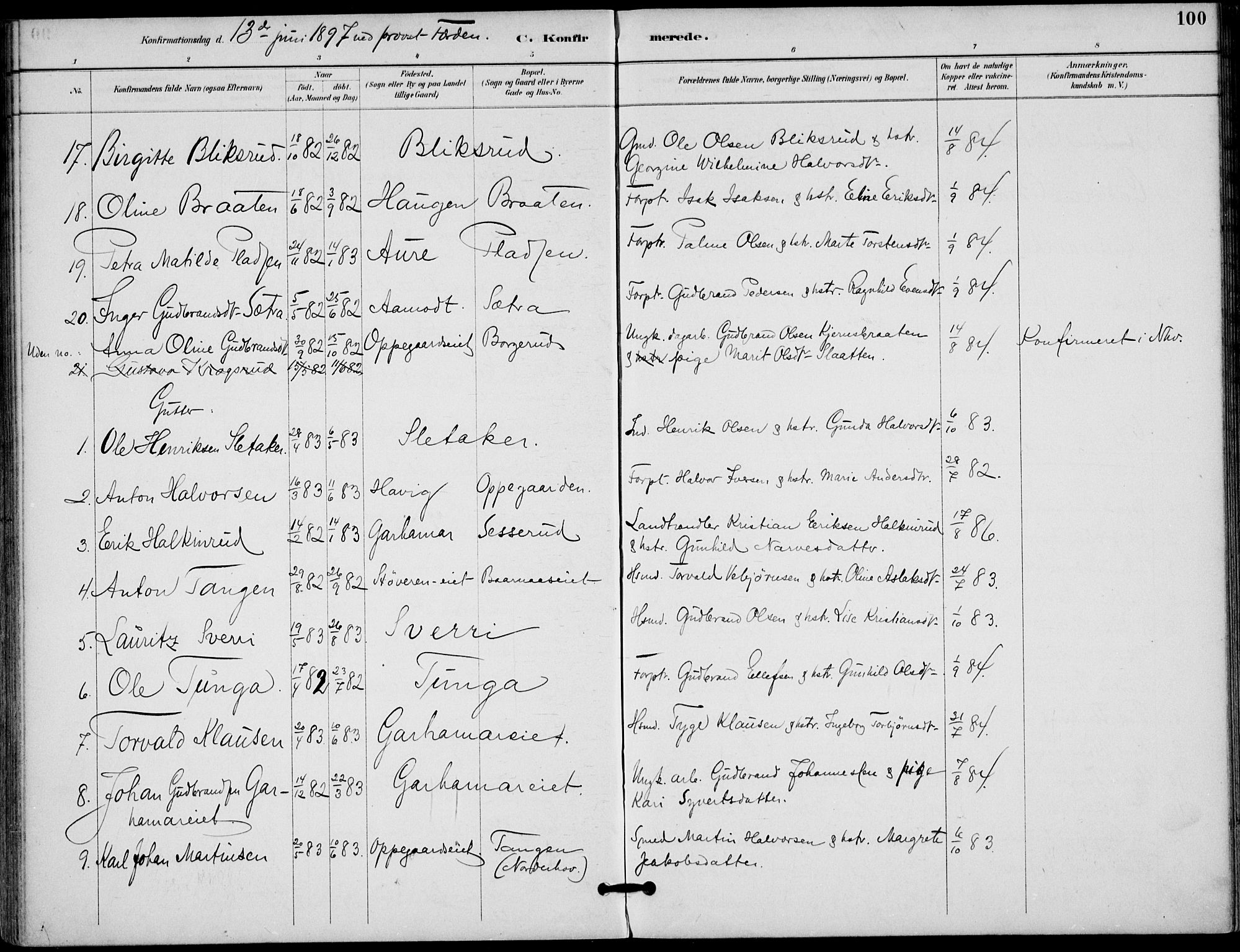 Lunder kirkebøker, SAKO/A-629/F/Fa/L0001: Parish register (official) no. I 1, 1885-1912, p. 100