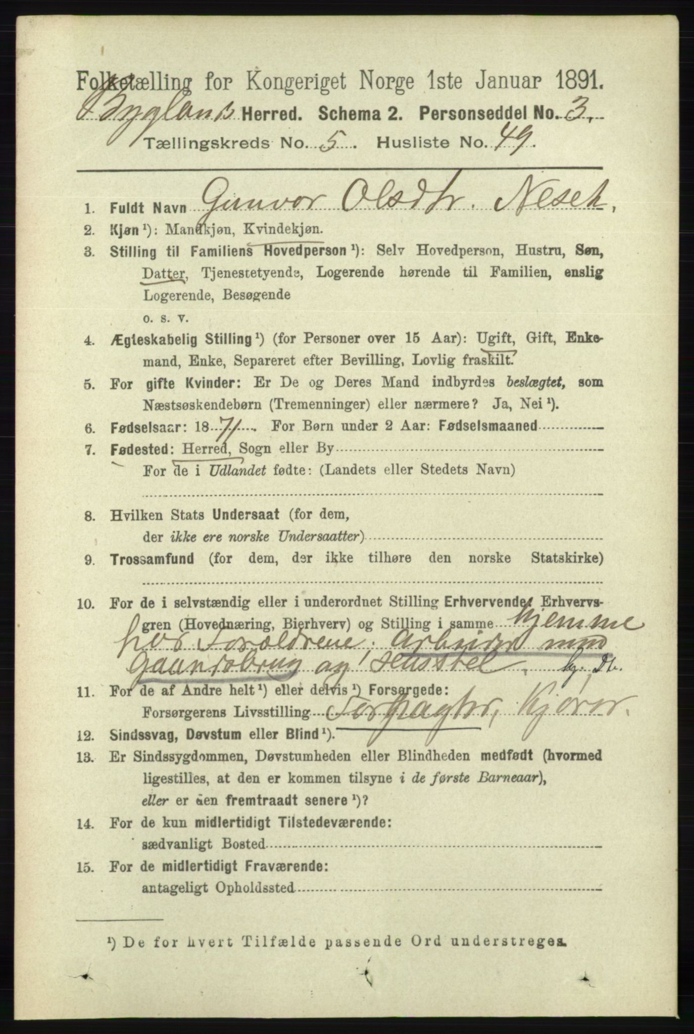 RA, 1891 census for 0938 Bygland, 1891, p. 1299