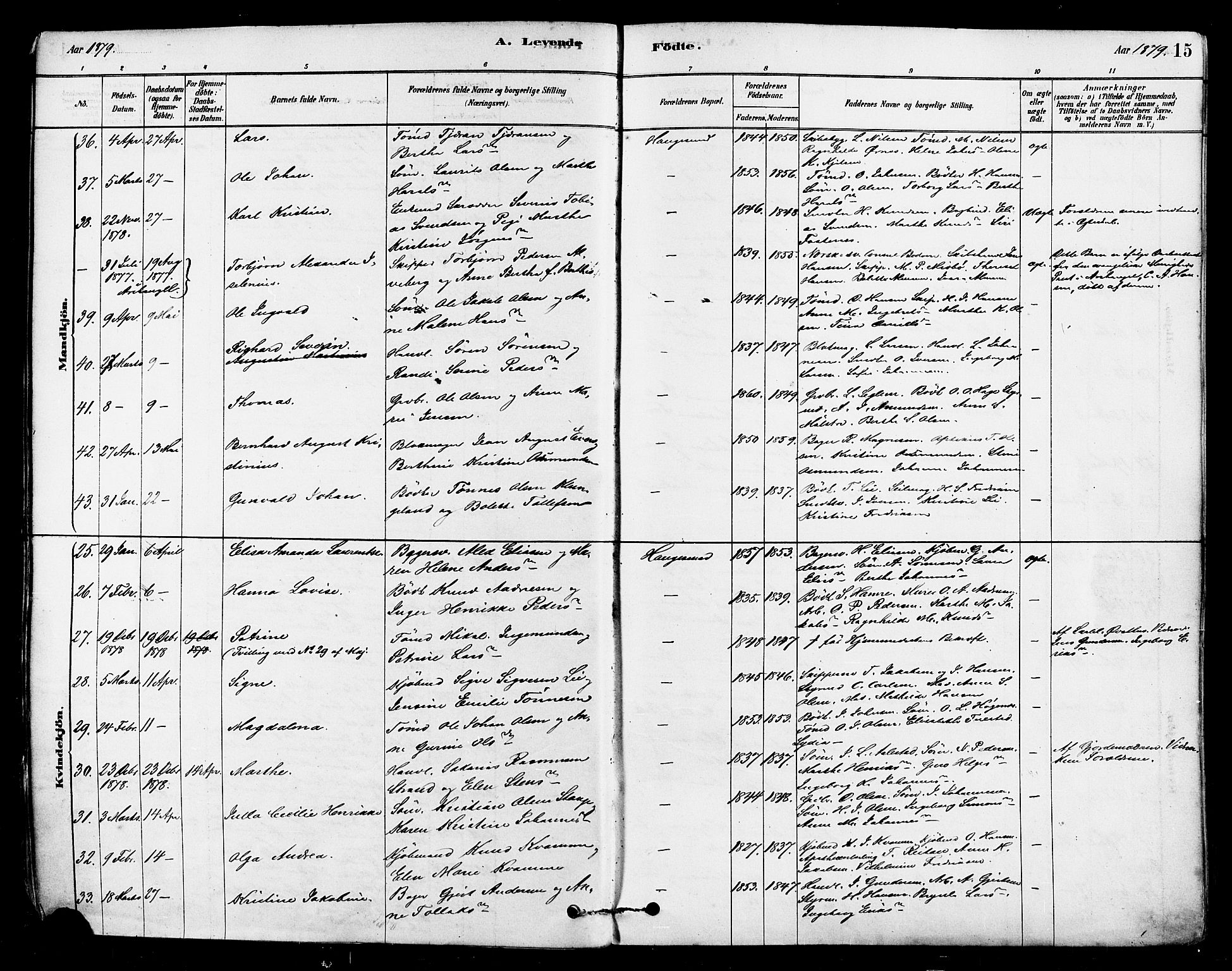 Haugesund sokneprestkontor, AV/SAST-A -101863/H/Ha/Haa/L0001: Parish register (official) no. A 1, 1878-1885, p. 15