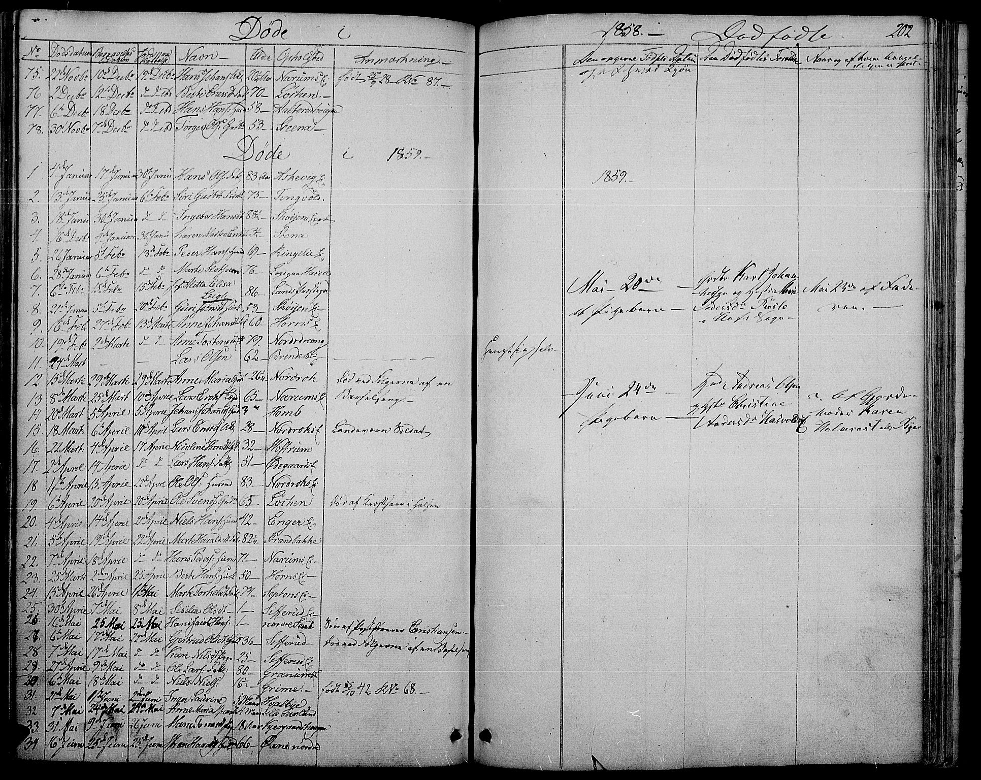 Søndre Land prestekontor, SAH/PREST-122/L/L0001: Parish register (copy) no. 1, 1849-1883, p. 202