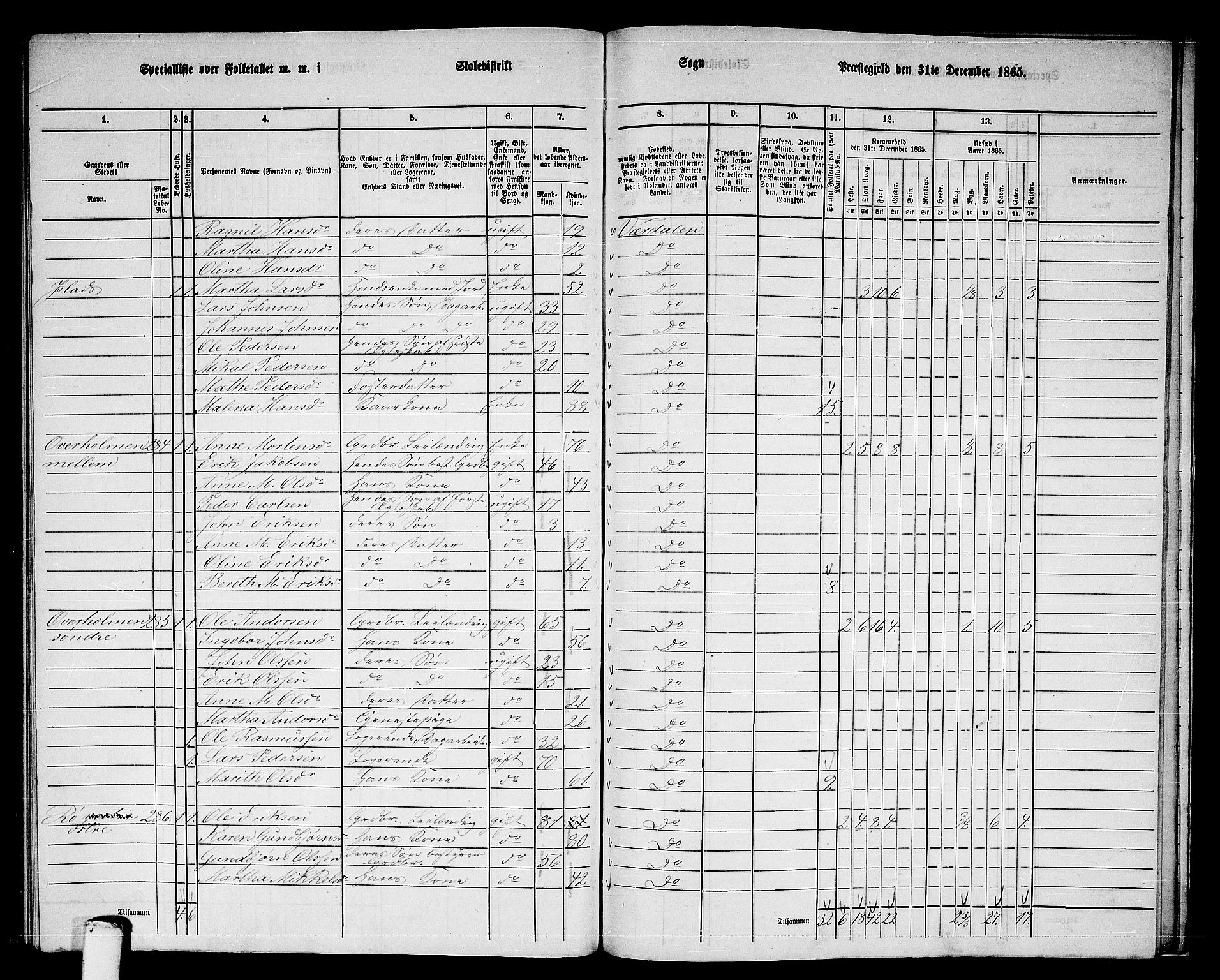 RA, 1865 census for Verdal, 1865, p. 253