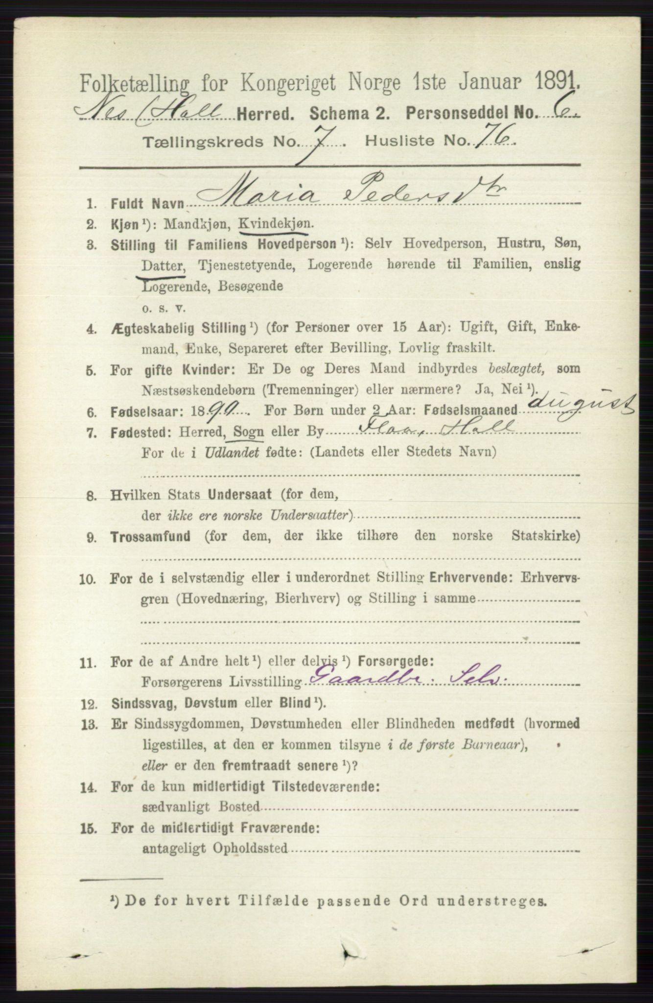 RA, 1891 census for 0616 Nes, 1891, p. 4039